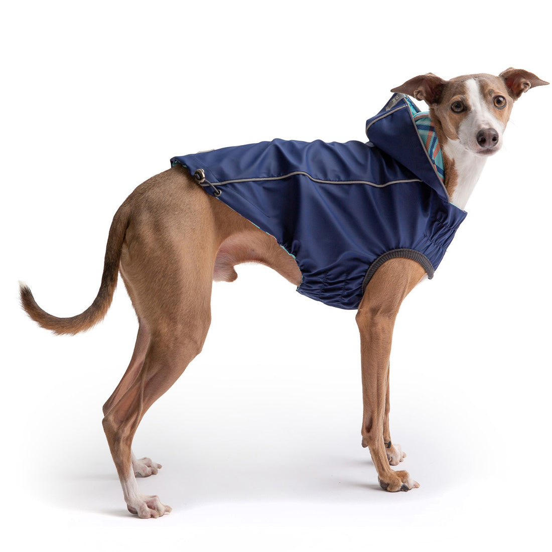 Reversible Elasto-Fit Raincoat - Navy premium pet product