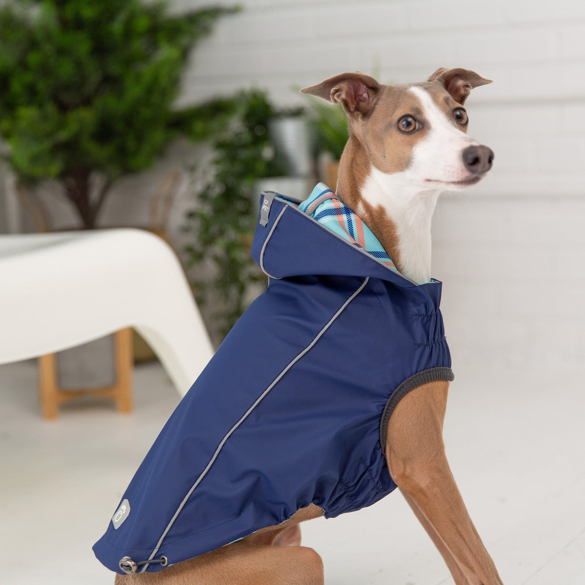 Reversible Elasto-Fit Raincoat - Navy premium pet product