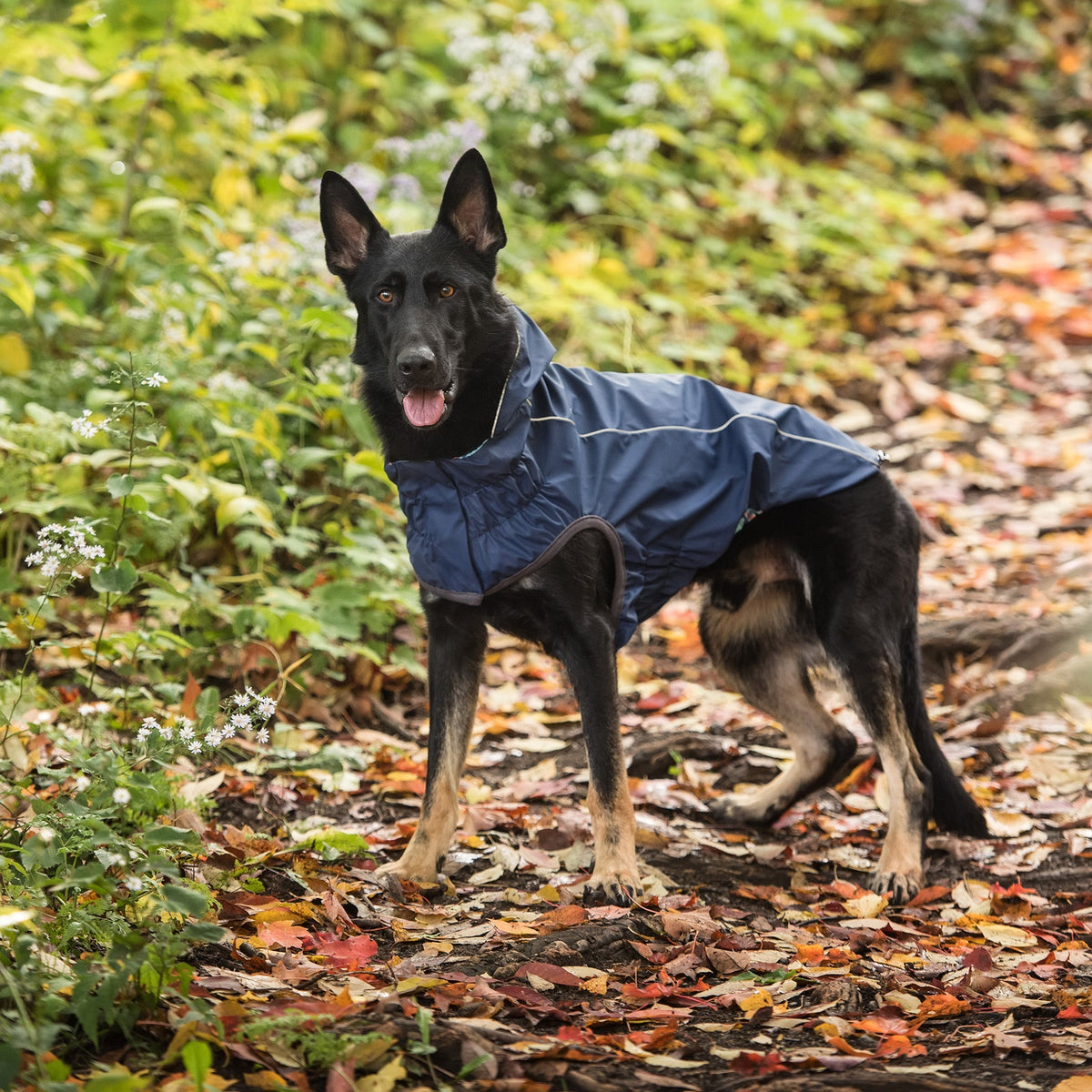 Reversible Elasto-Fit Raincoat - Navy premium pet product