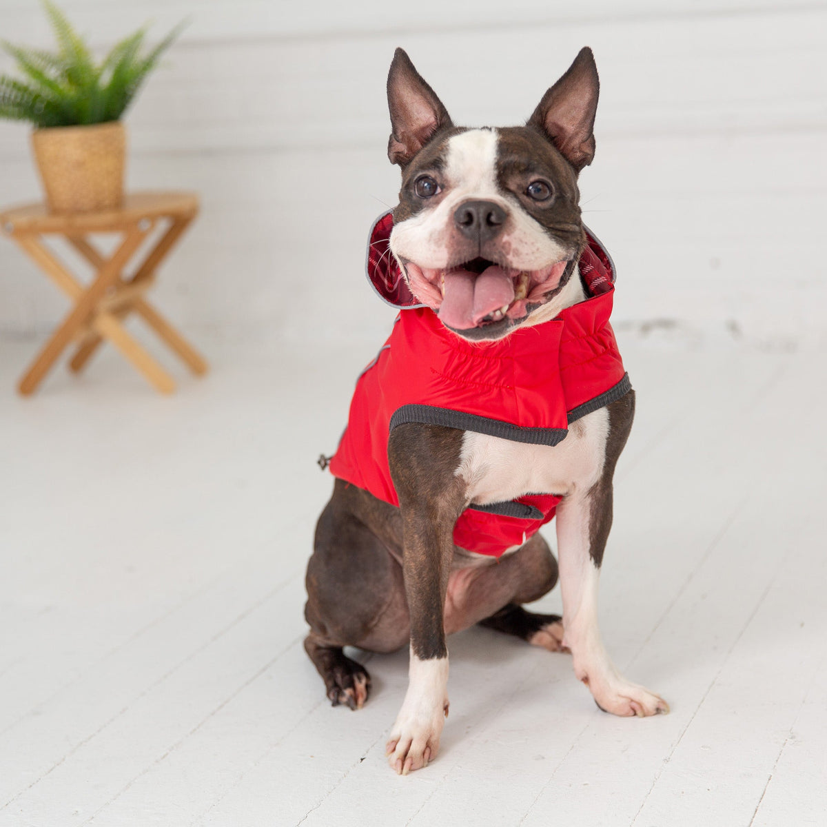 Reversible Elasto-Fit Raincoat - Red premium pet product