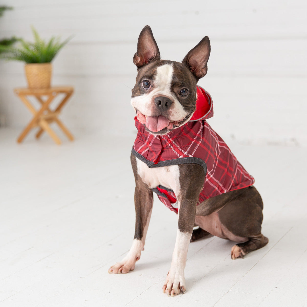 Reversible Elasto-Fit Raincoat - Red premium pet product