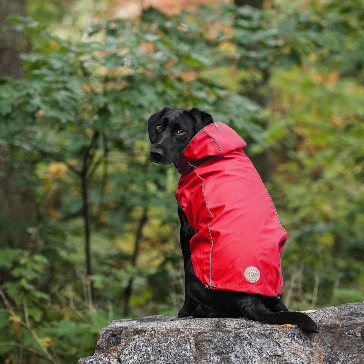 Reversible Elasto-Fit Raincoat - Red premium pet product