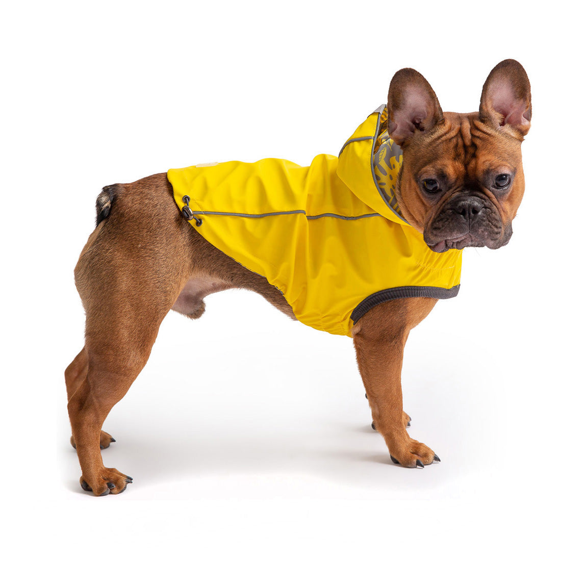 Reversible Elasto-Fit Raincoat - Yellow premium pet product
