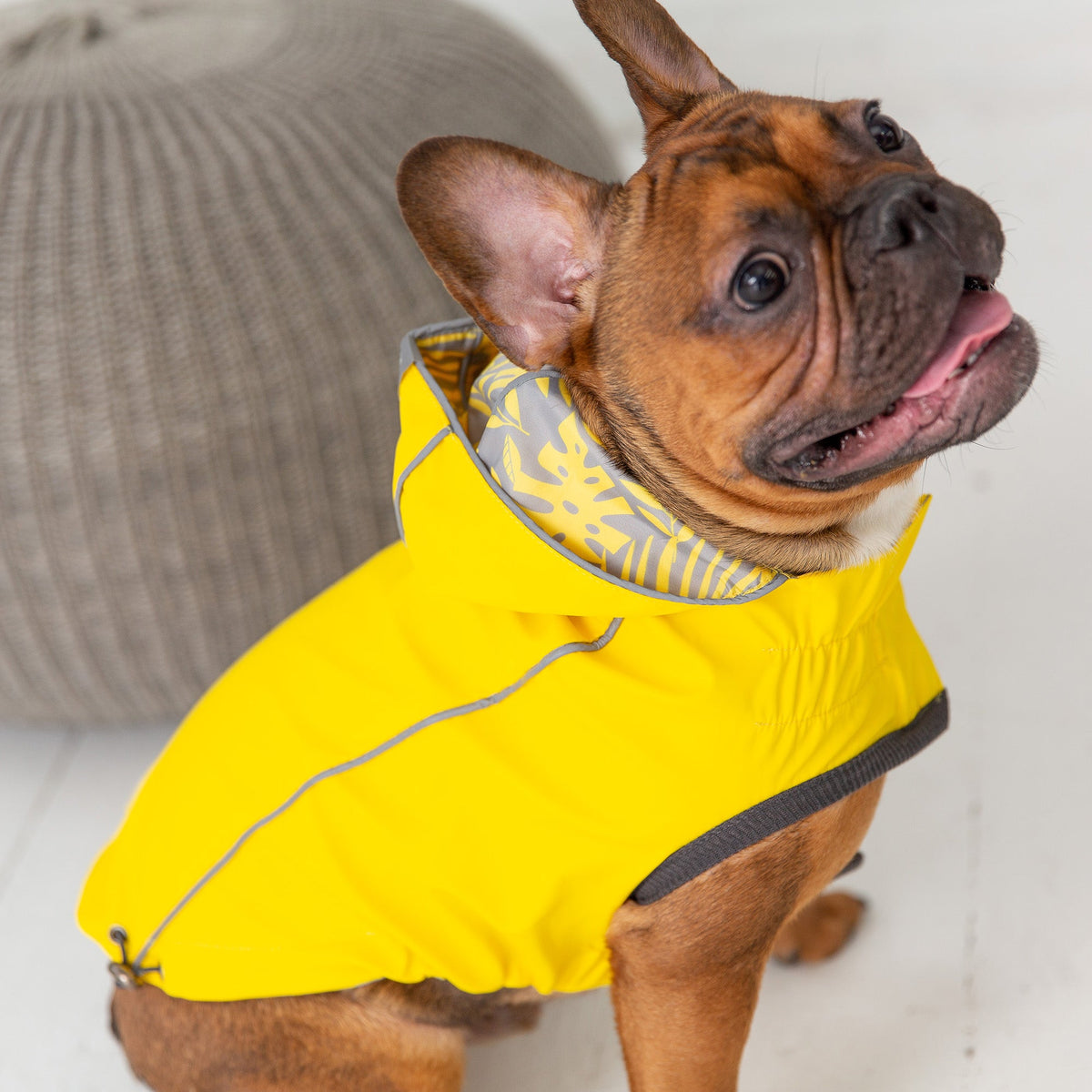 Reversible Elasto-Fit Raincoat - Yellow premium pet product