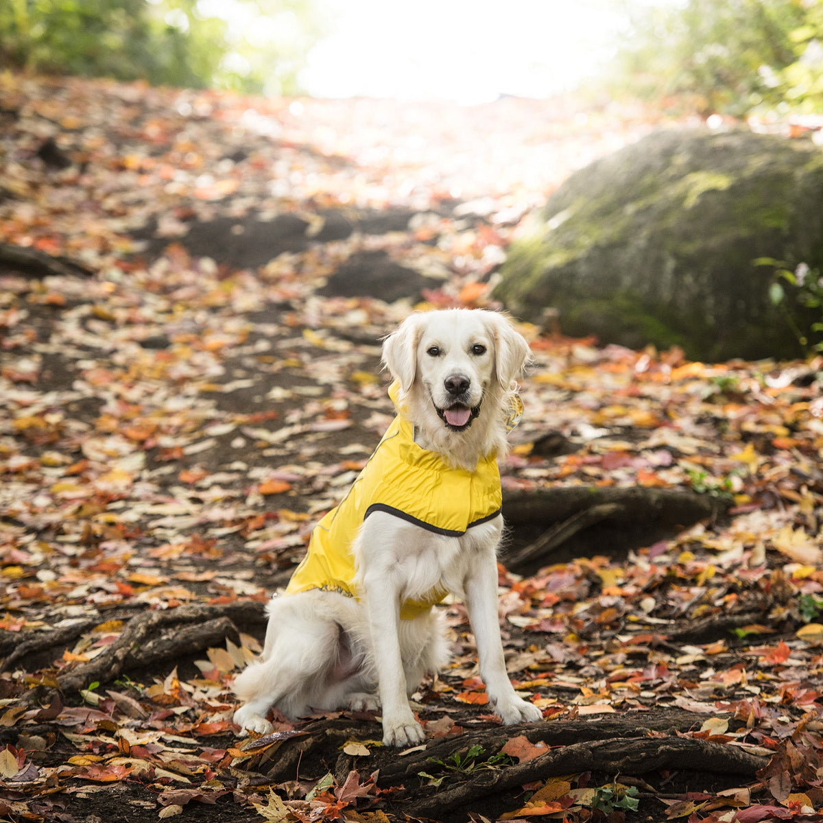 Reversible Elasto-Fit Raincoat - Yellow premium pet product