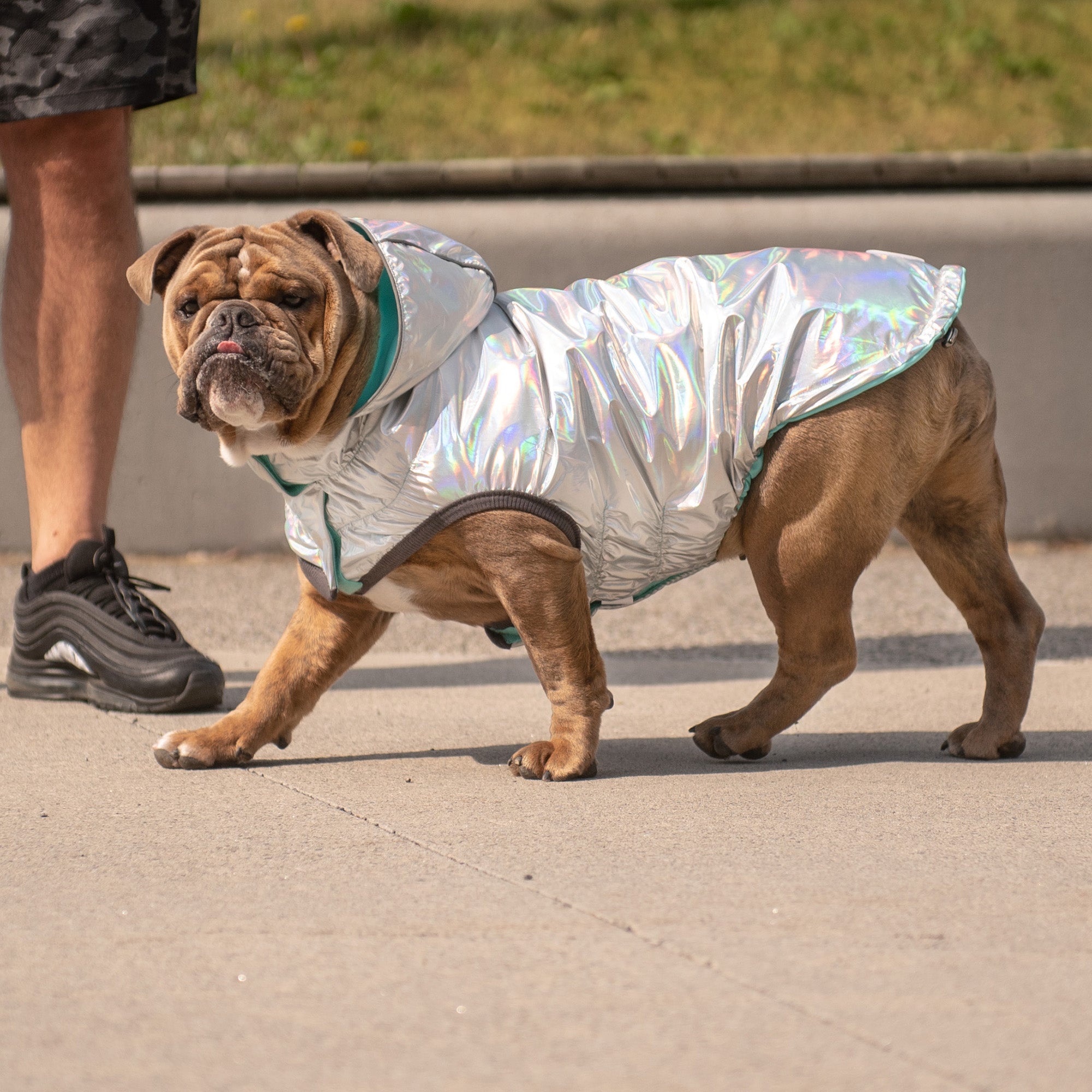 Reversible Raincoat - Neon Aqua with Iridescent premium pet product