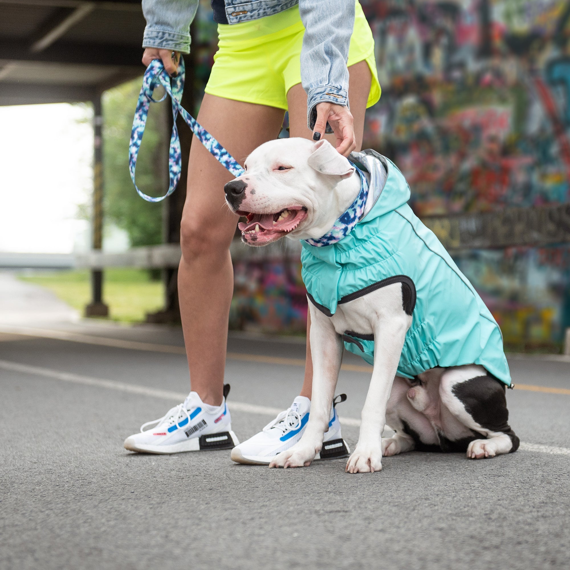 Reversible Raincoat - Neon Aqua with Iridescent premium pet product