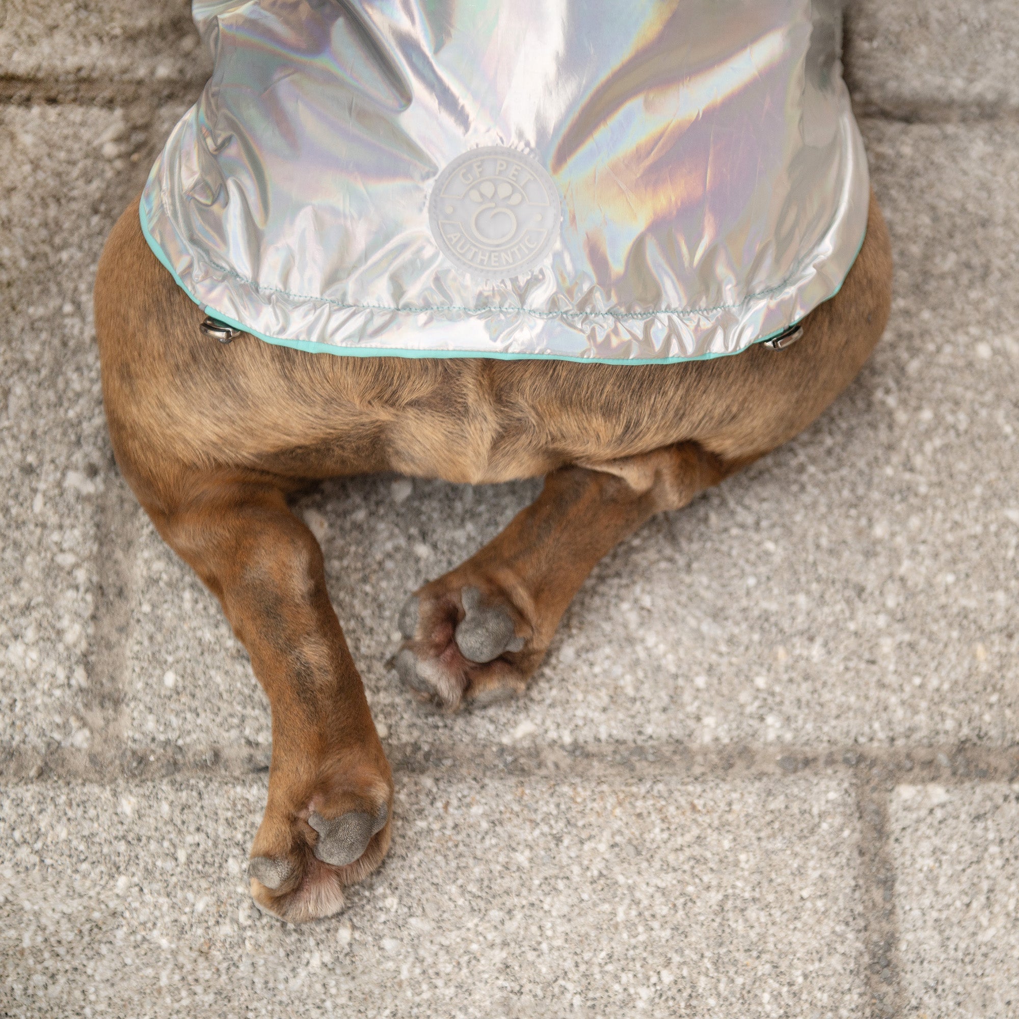 Reversible Raincoat - Neon Aqua with Iridescent premium pet product