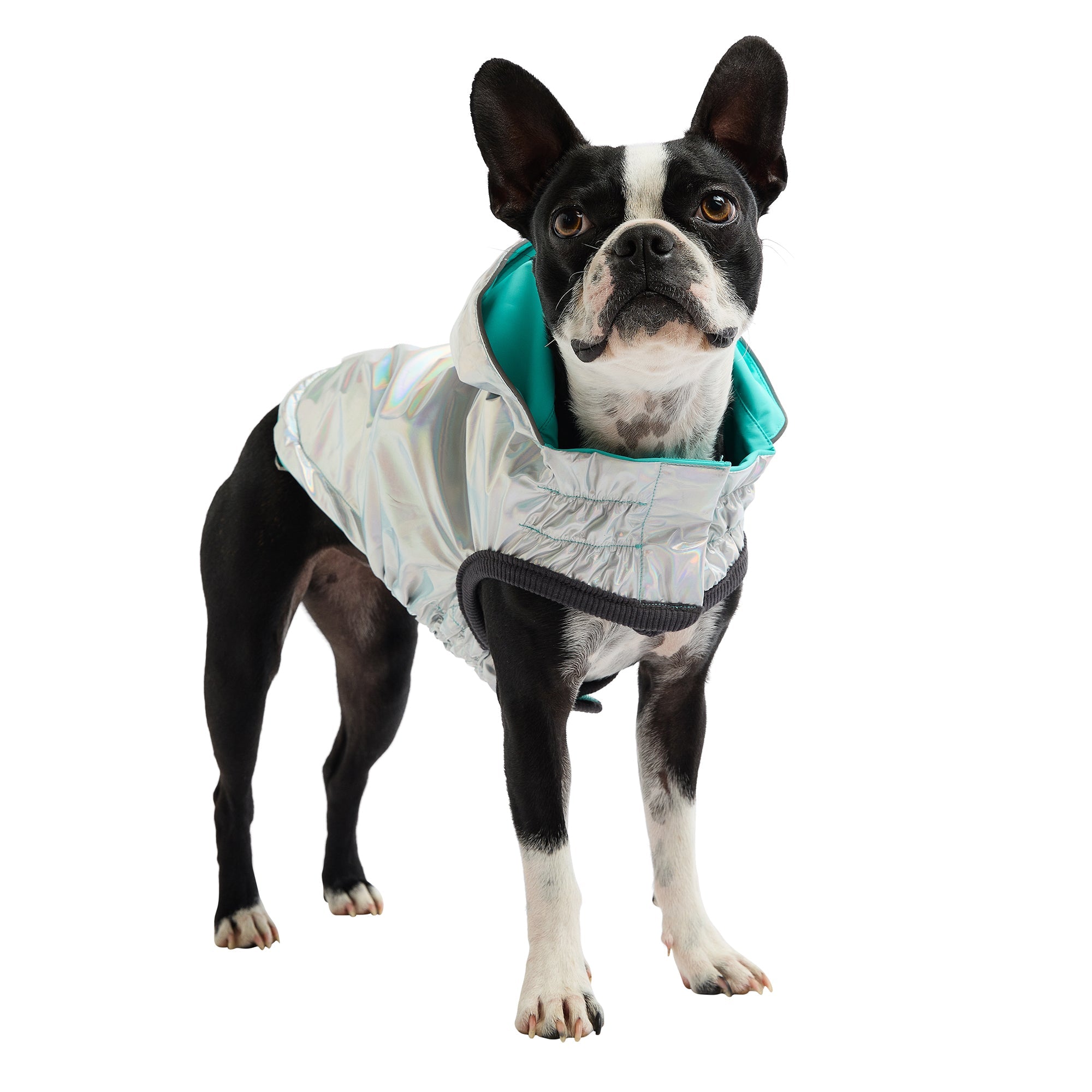 Reversible Raincoat - Neon Aqua with Iridescent premium pet product