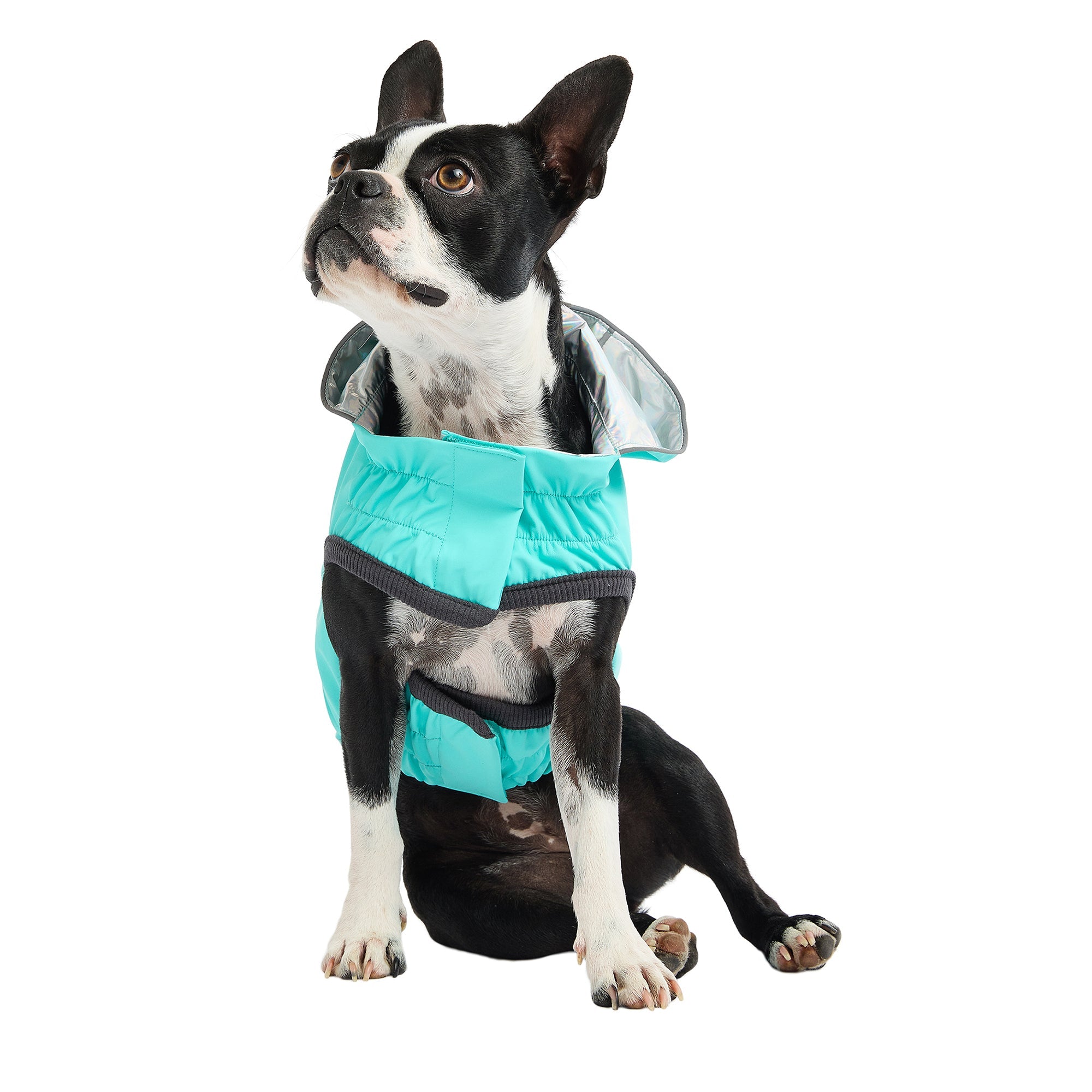 Reversible Raincoat - Neon Aqua with Iridescent premium pet product