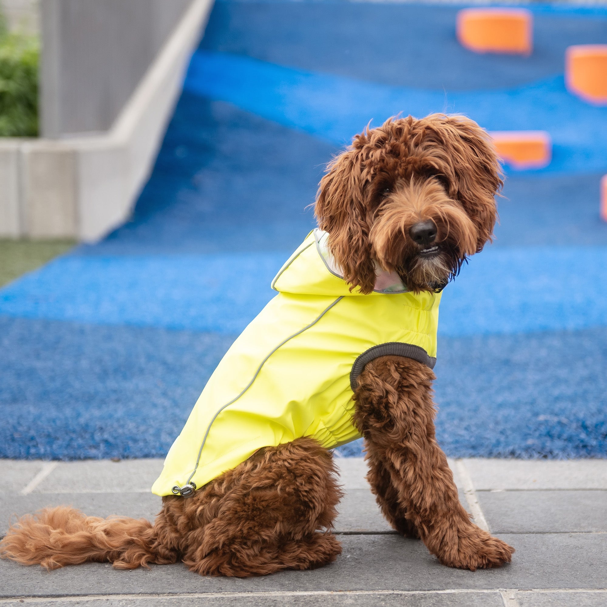 Reversible Raincoat - Neon Yellow with Tie Dye premium pet product