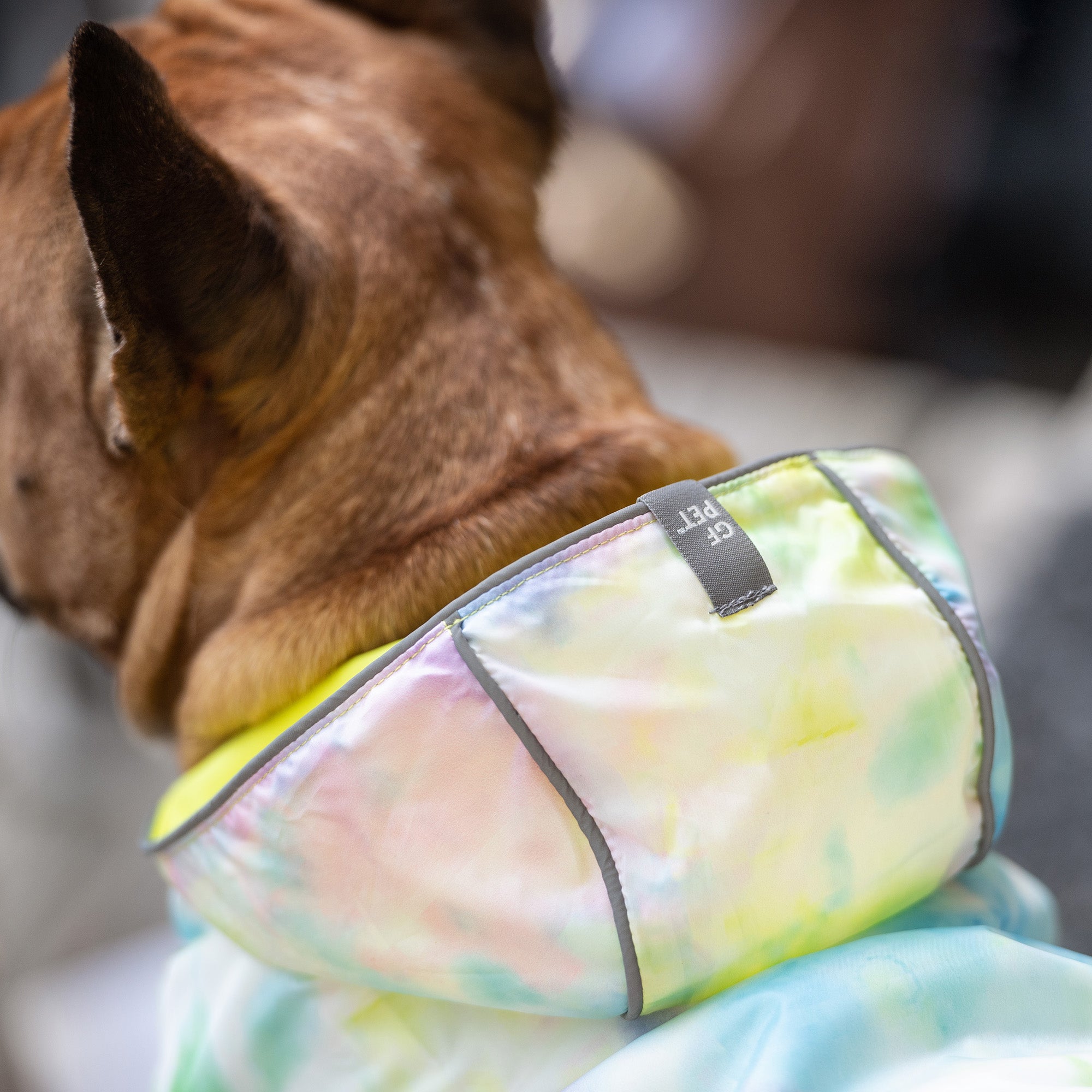 Reversible Raincoat - Neon Yellow with Tie Dye premium pet product