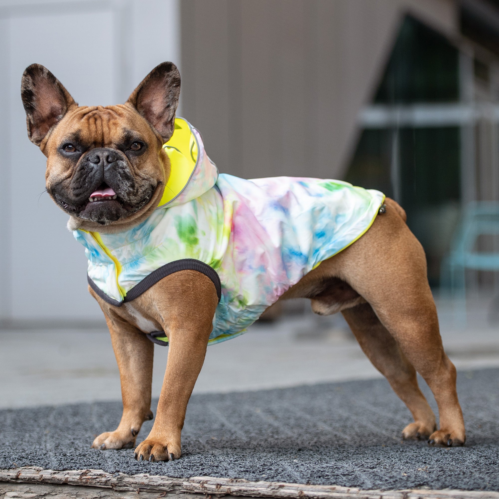 Reversible Raincoat - Neon Yellow with Tie Dye premium pet product