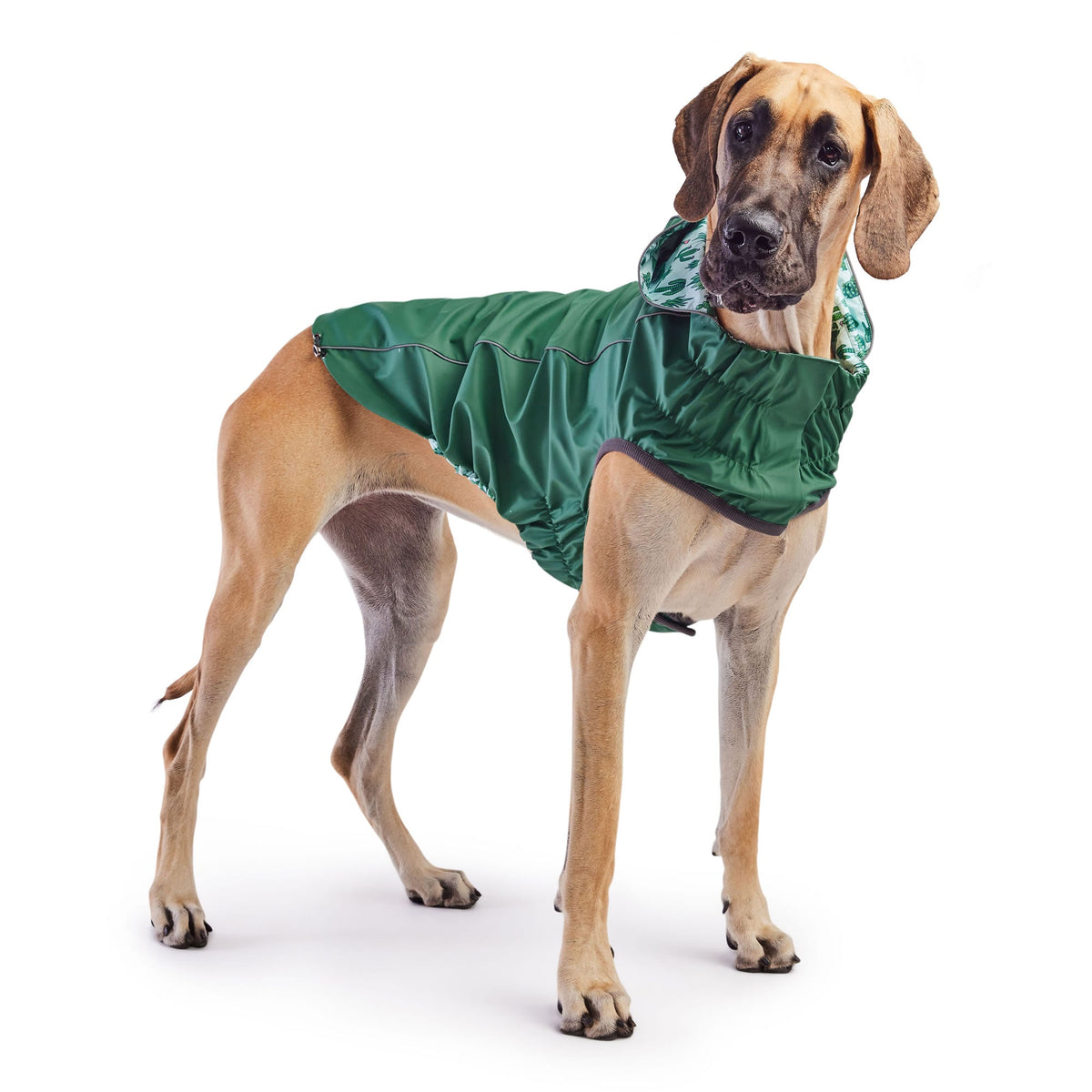 Reversible Elasto-Fit Raincoat - Green/Green premium pet product