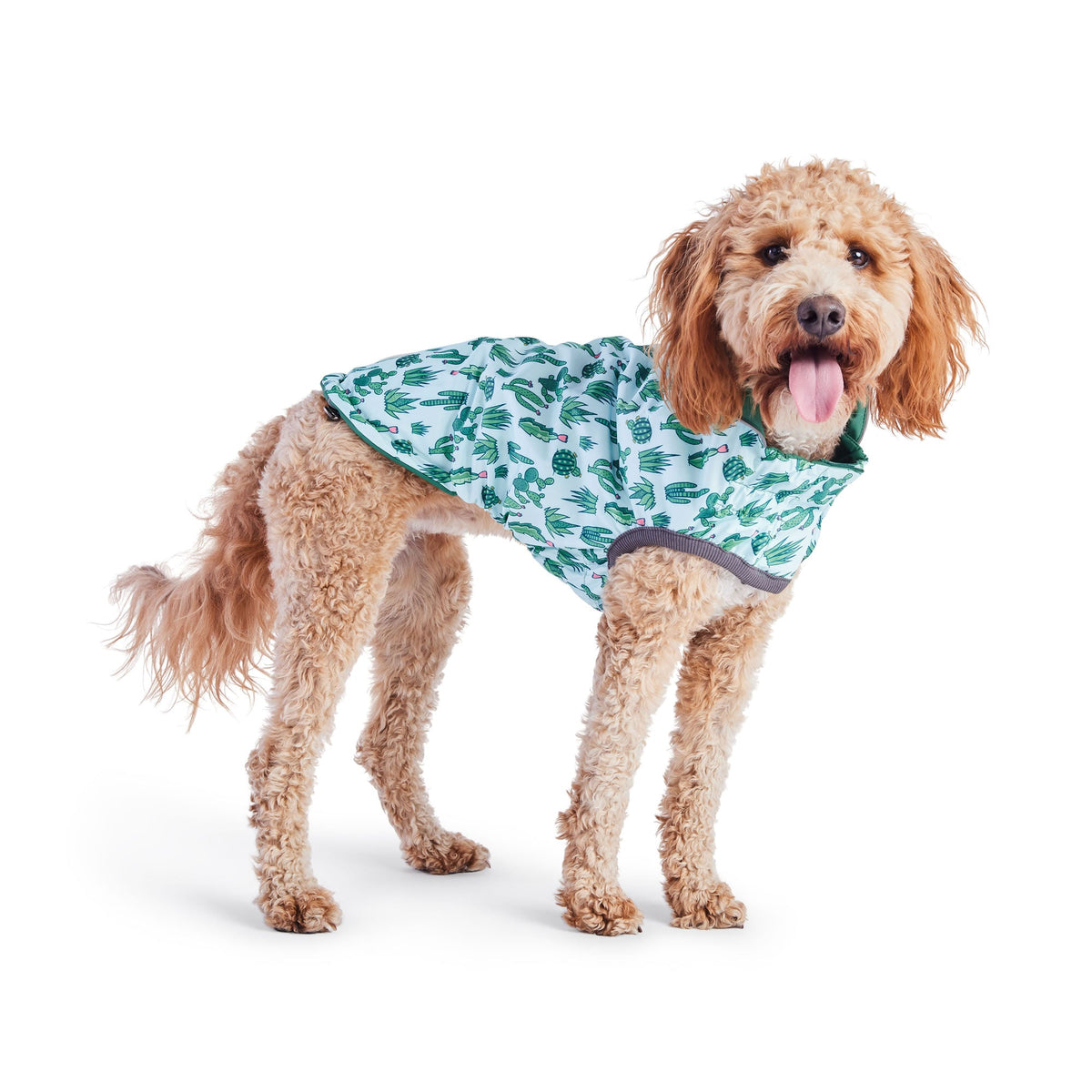 Reversible Elasto-Fit Raincoat - Green/Green premium pet product