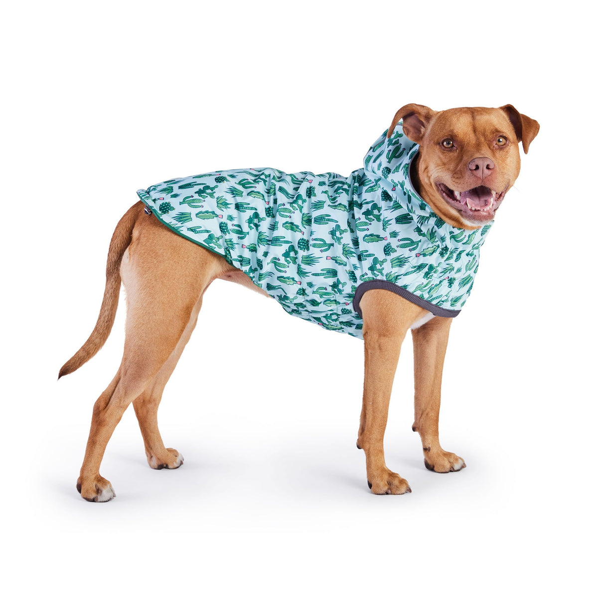 Reversible Elasto-Fit Raincoat - Green/Green premium pet product