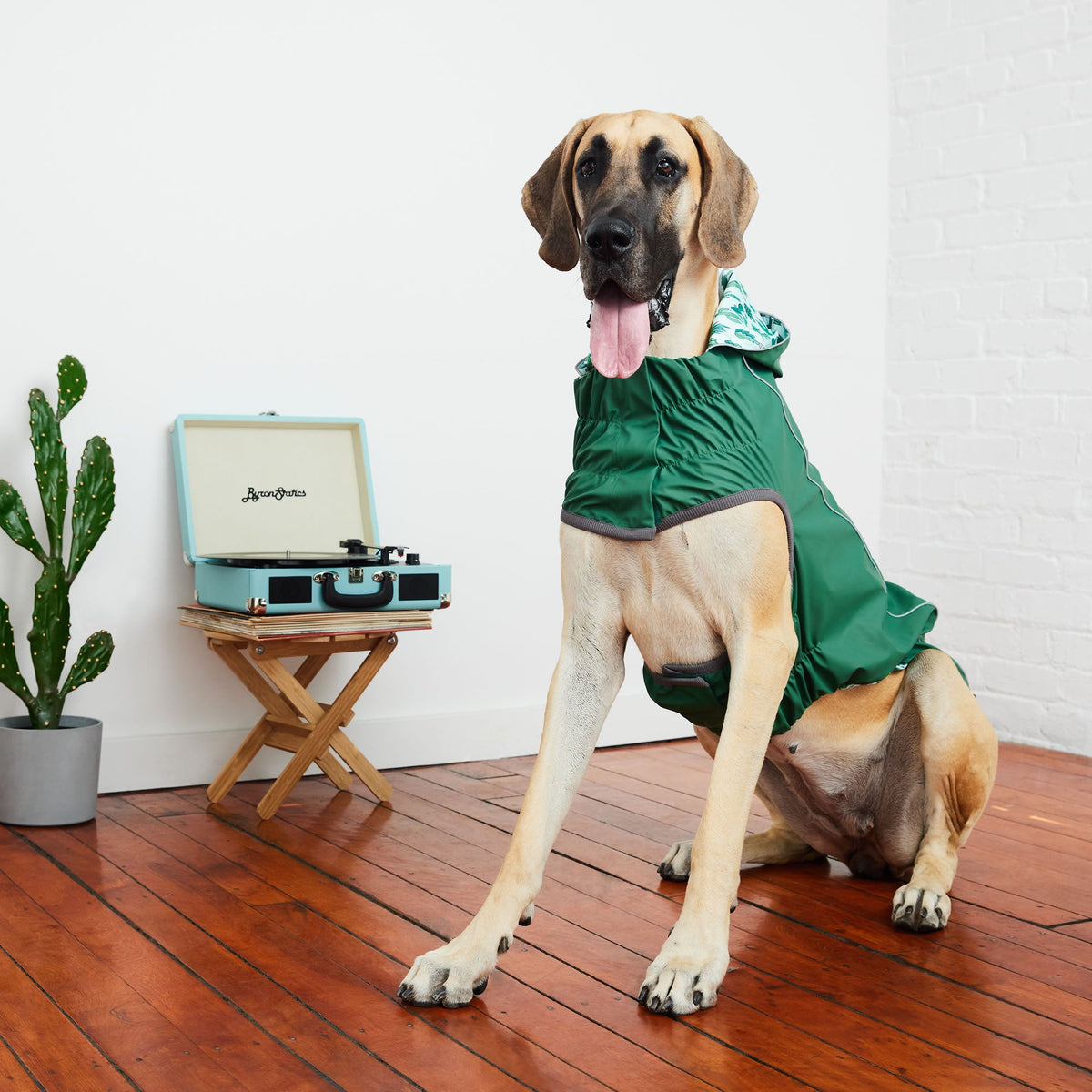 Reversible Elasto-Fit Raincoat - Green/Green premium pet product