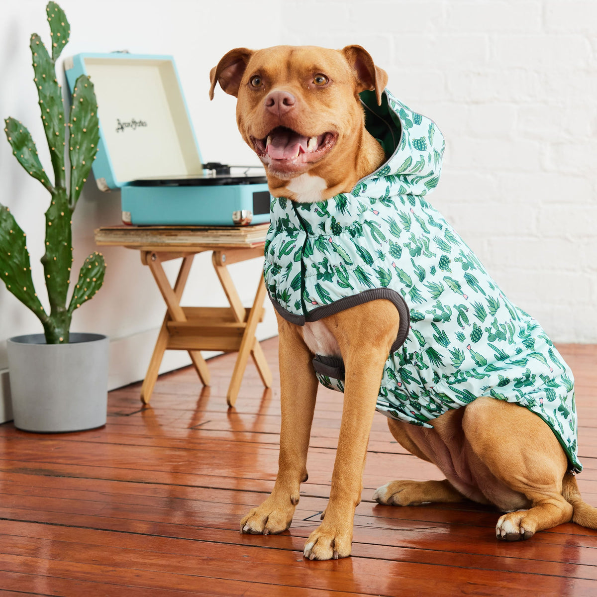 Reversible Elasto-Fit Raincoat - Green/Green premium pet product