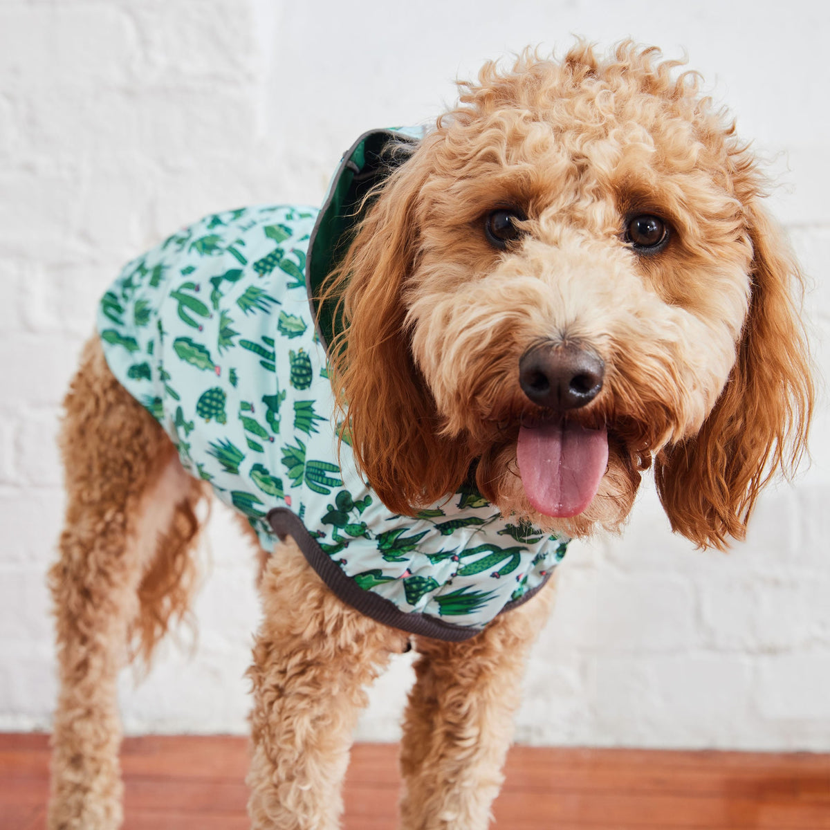 Reversible Elasto-Fit Raincoat - Green/Green premium pet product