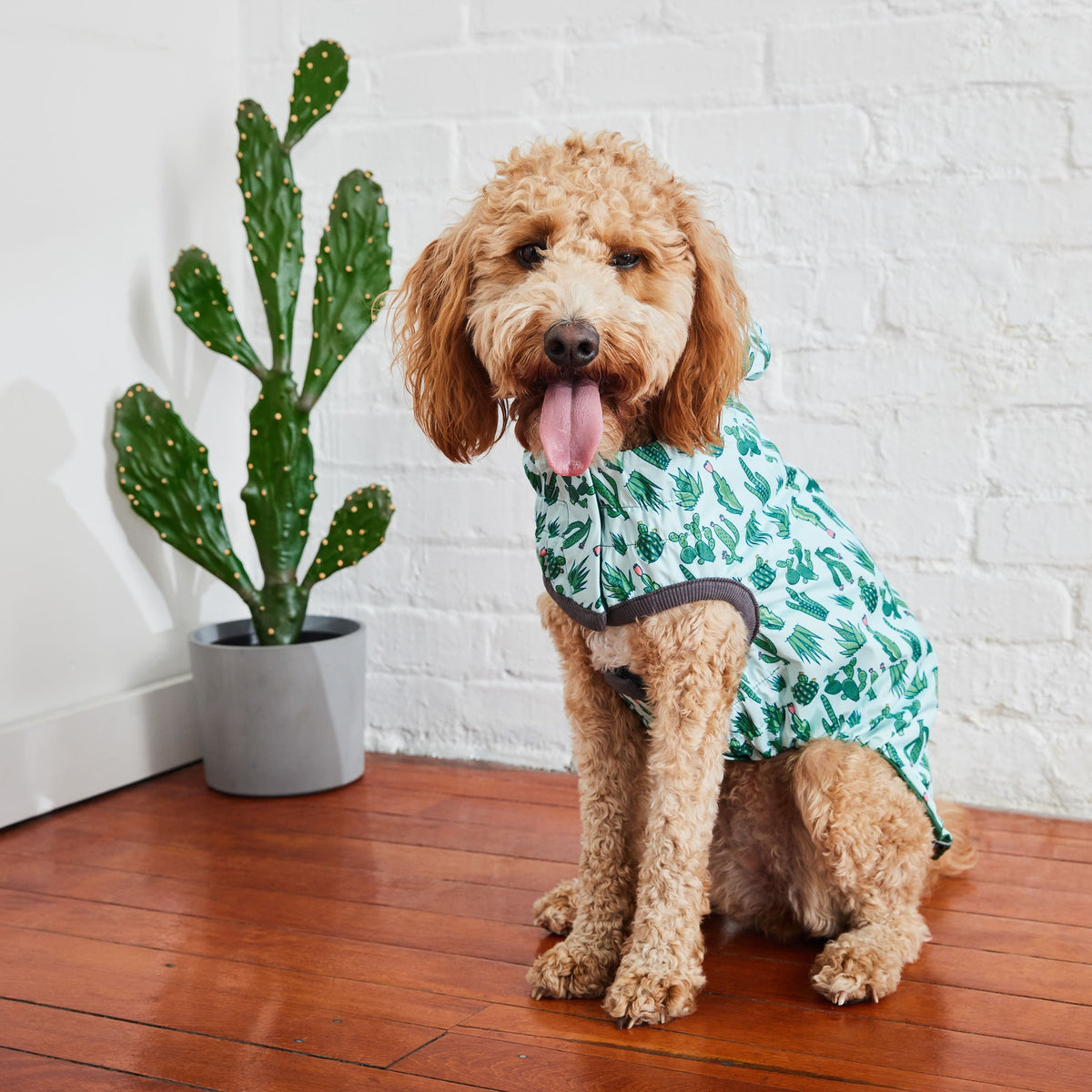 Reversible Elasto-Fit Raincoat - Green/Green premium pet product