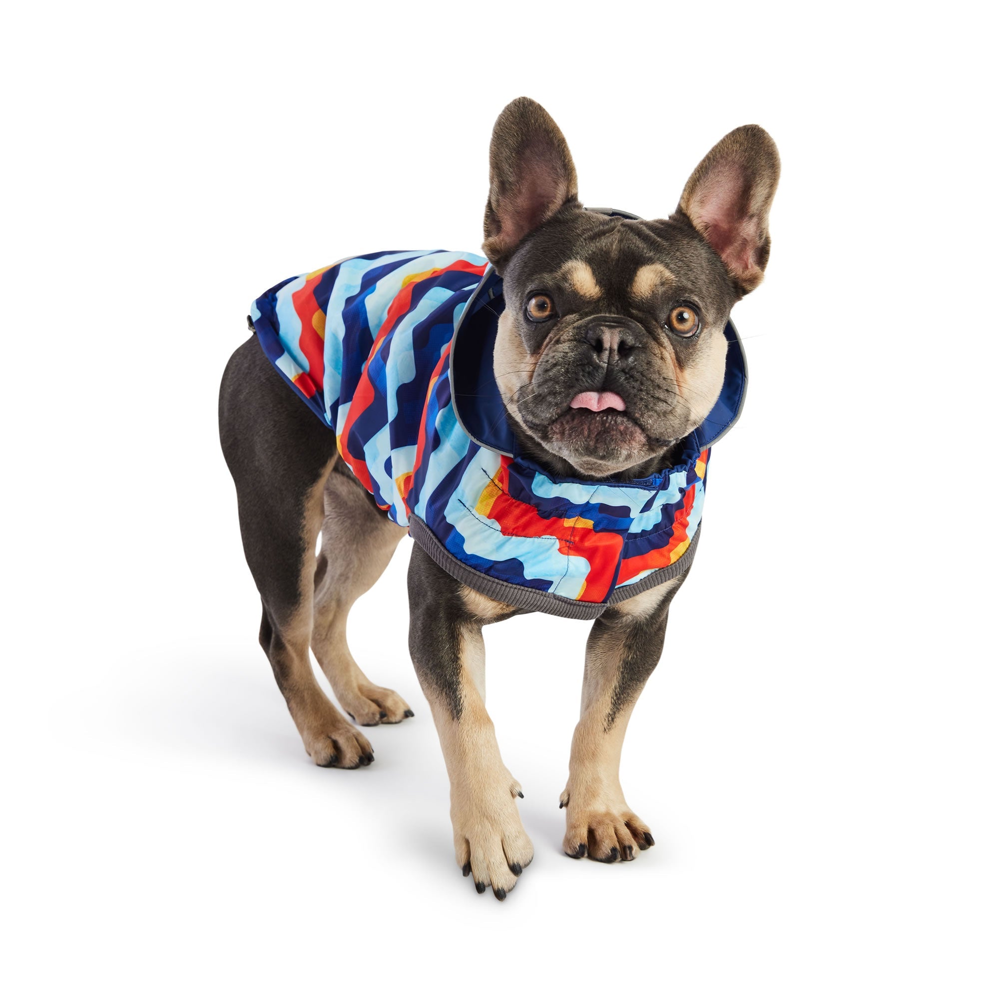 Reversible Elasto-Fit Raincoat - Navy/Navy premium pet product