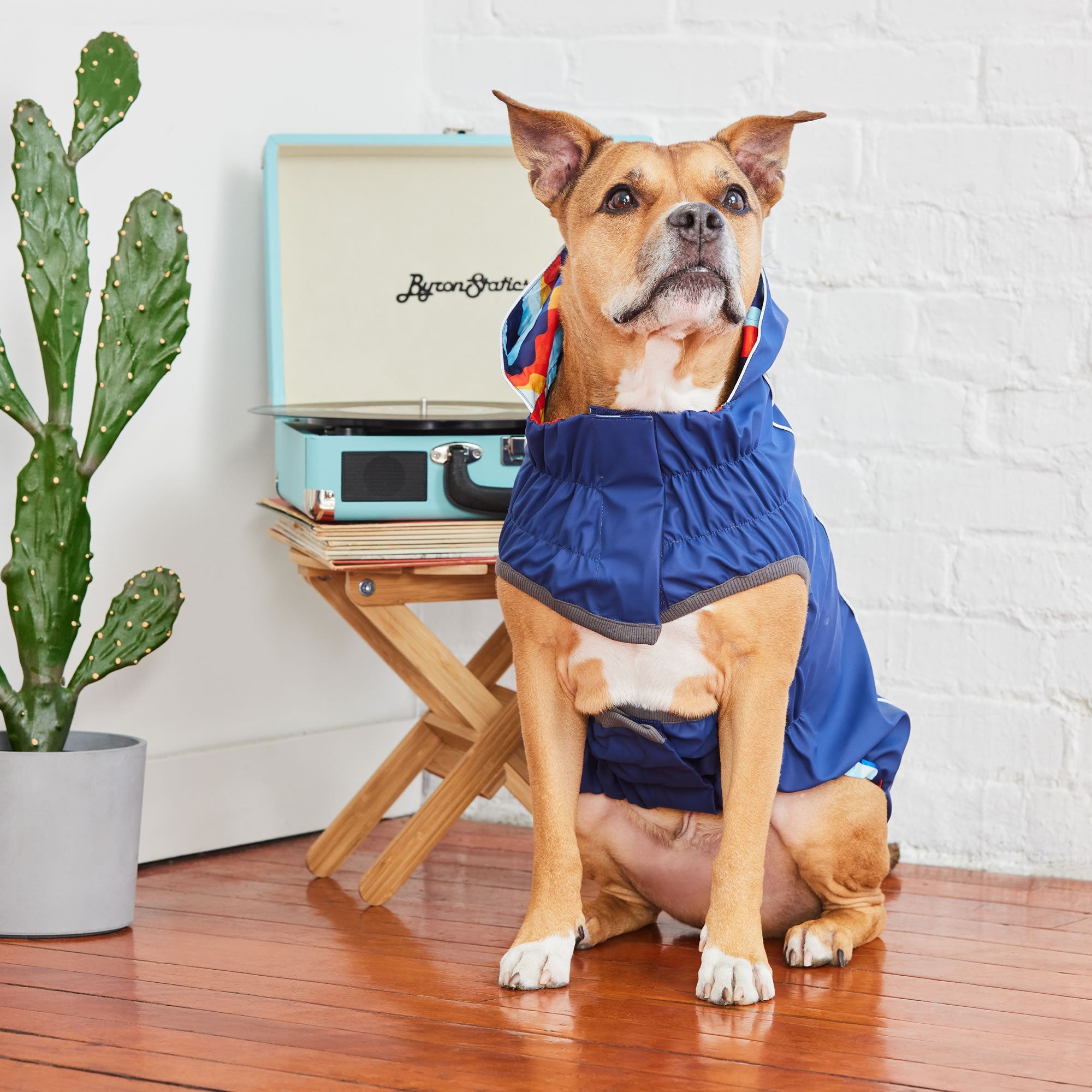 Reversible Elasto-Fit Raincoat - Navy/Navy premium pet product