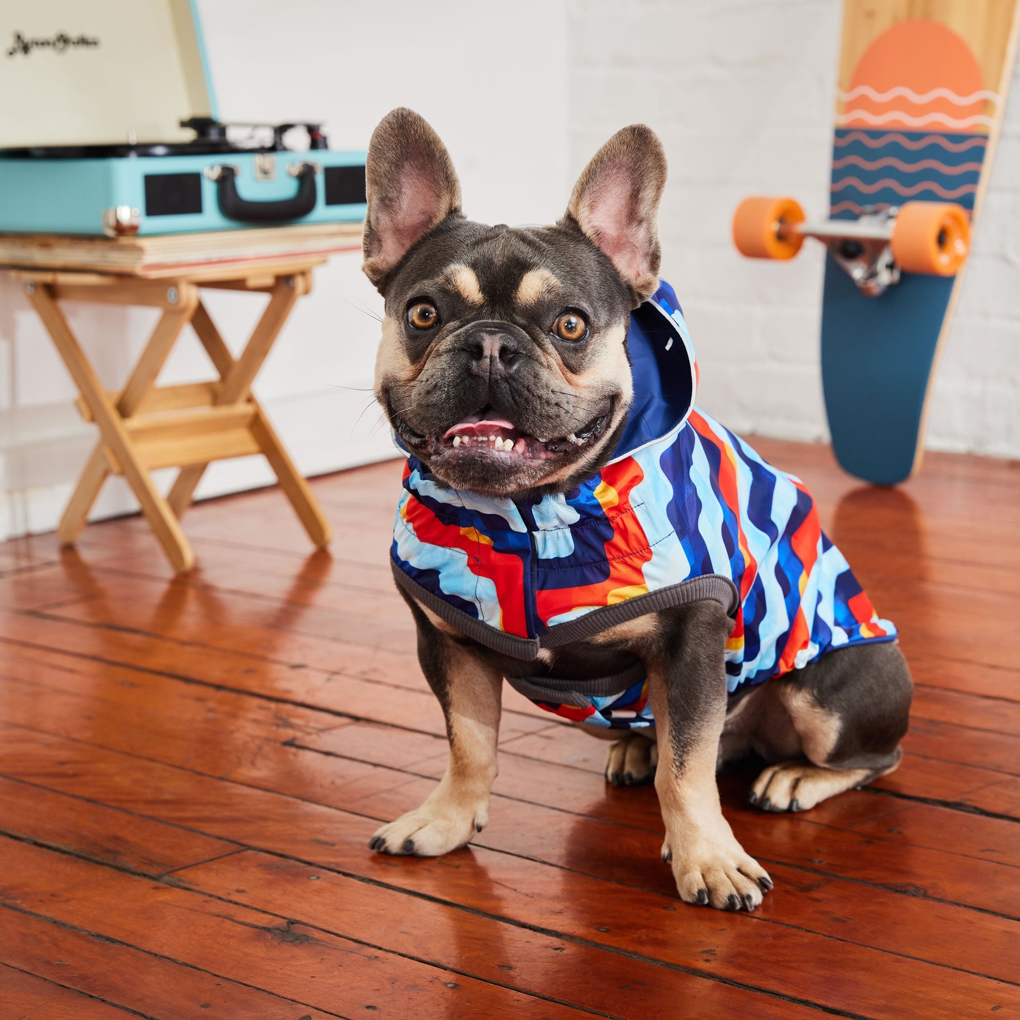 Reversible Elasto-Fit Raincoat - Navy/Navy premium pet product