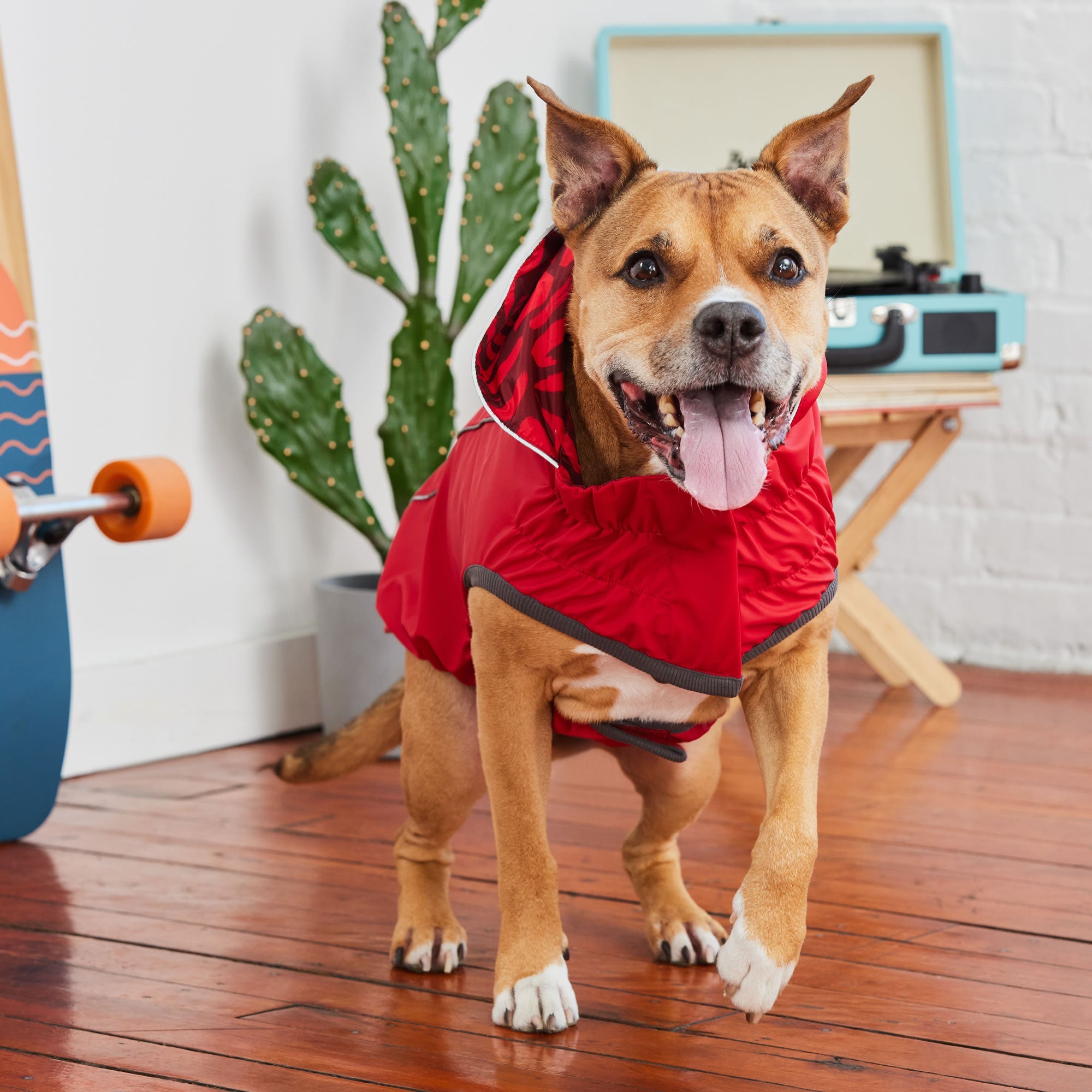 Reversible Elasto-Fit Raincoat - Red/Red premium pet product