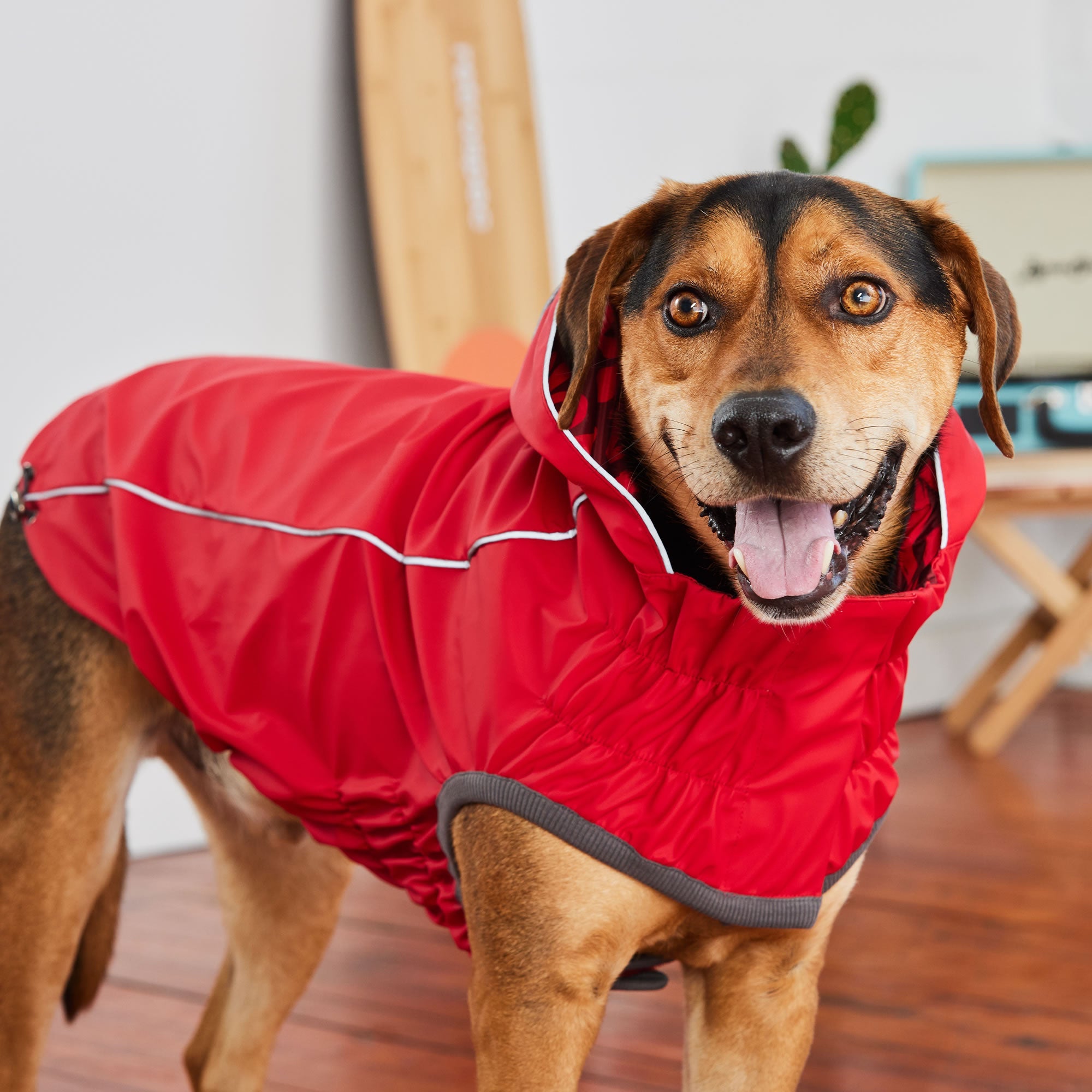 Reversible Elasto-Fit Raincoat - Red/Red premium pet product