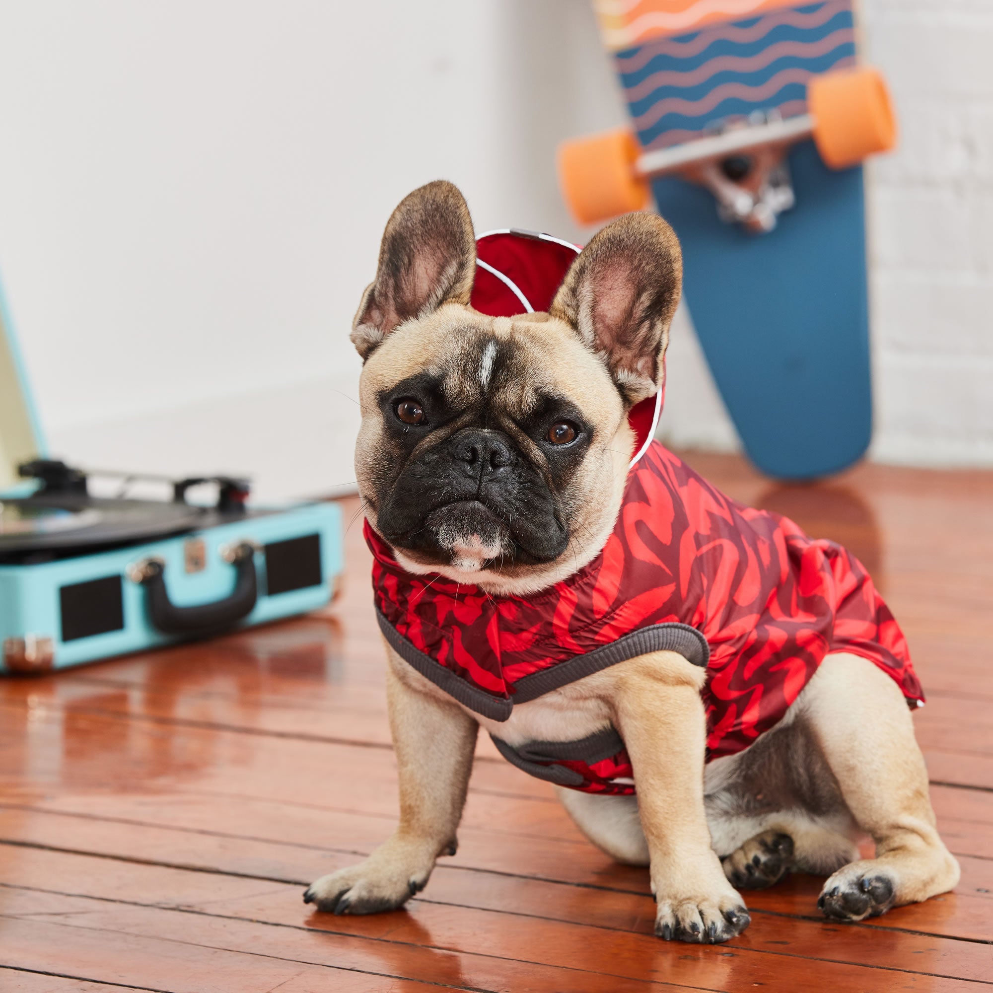 Reversible Elasto-Fit Raincoat - Red/Red premium pet product