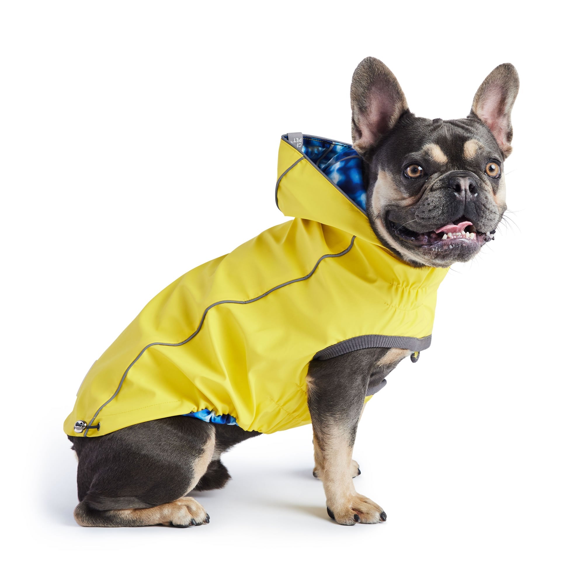 Reversible Elasto-Fit Raincoat - Yellow/Blue premium pet product