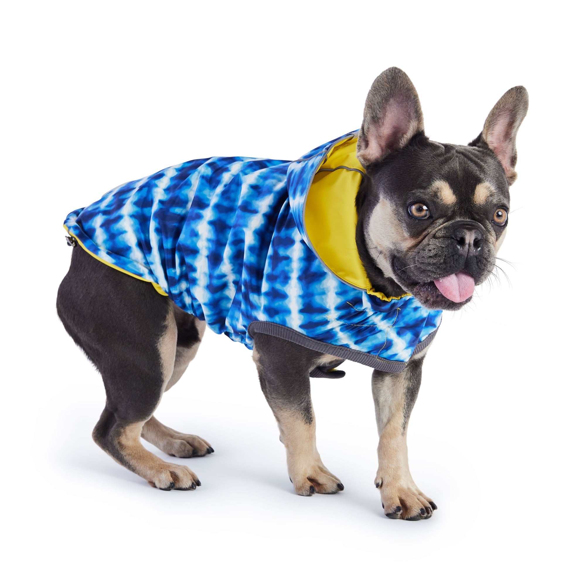 Reversible Elasto-Fit Raincoat - Yellow/Blue premium pet product