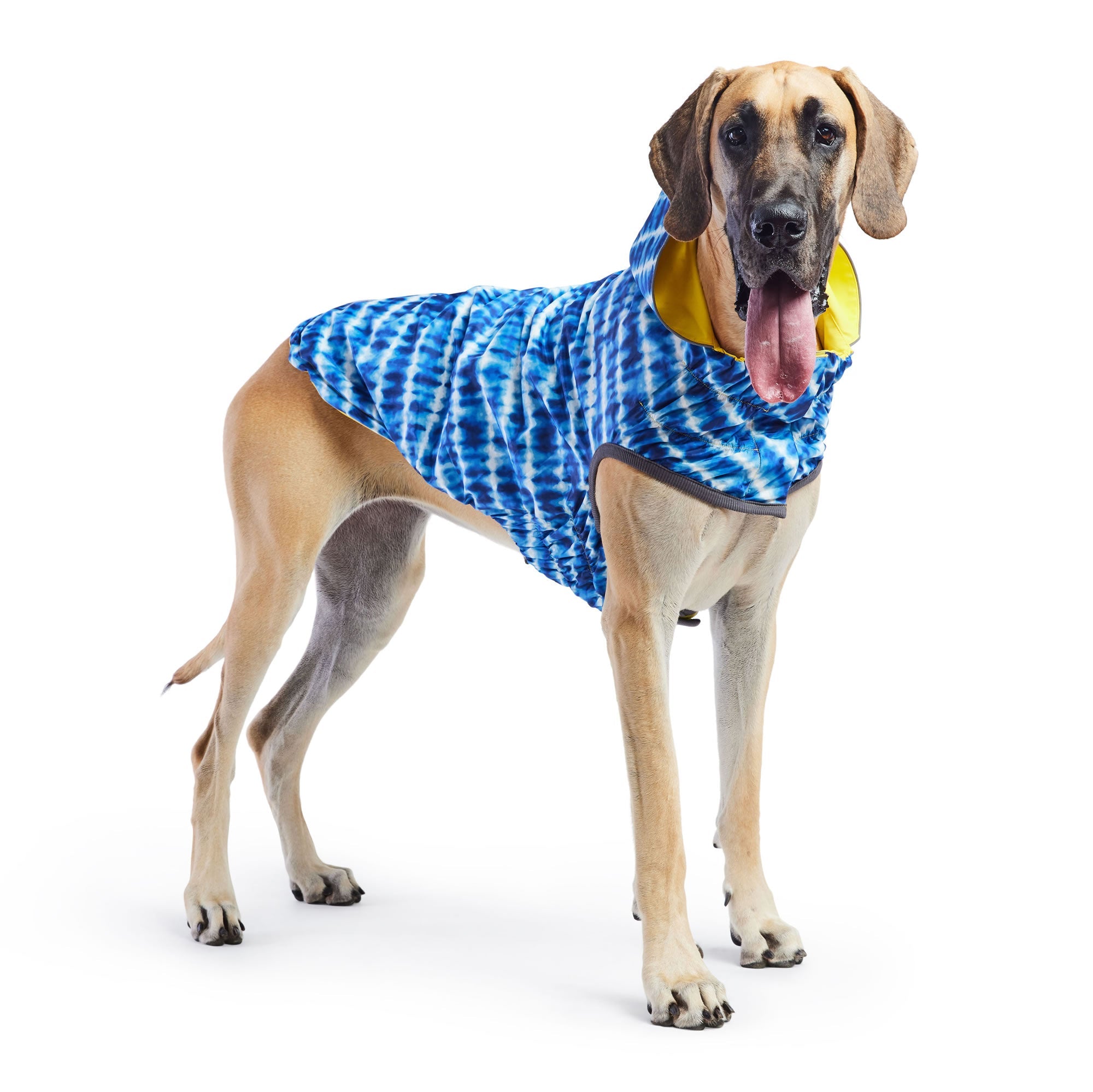 Reversible Elasto-Fit Raincoat - Yellow/Blue premium pet product