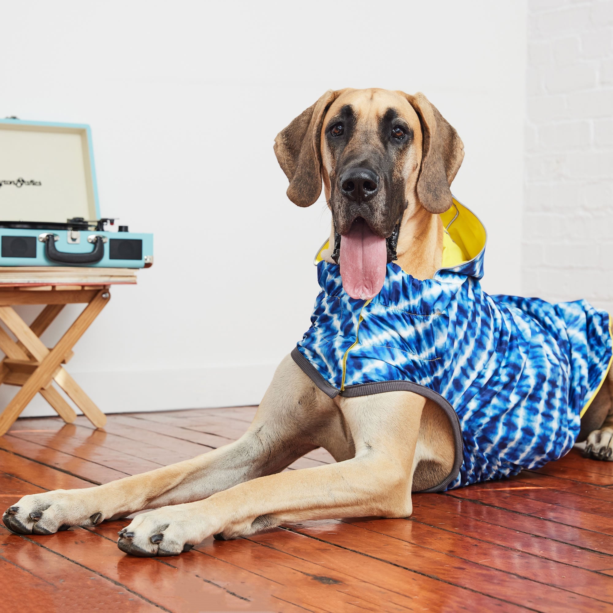 Reversible Elasto-Fit Raincoat - Yellow/Blue premium pet product