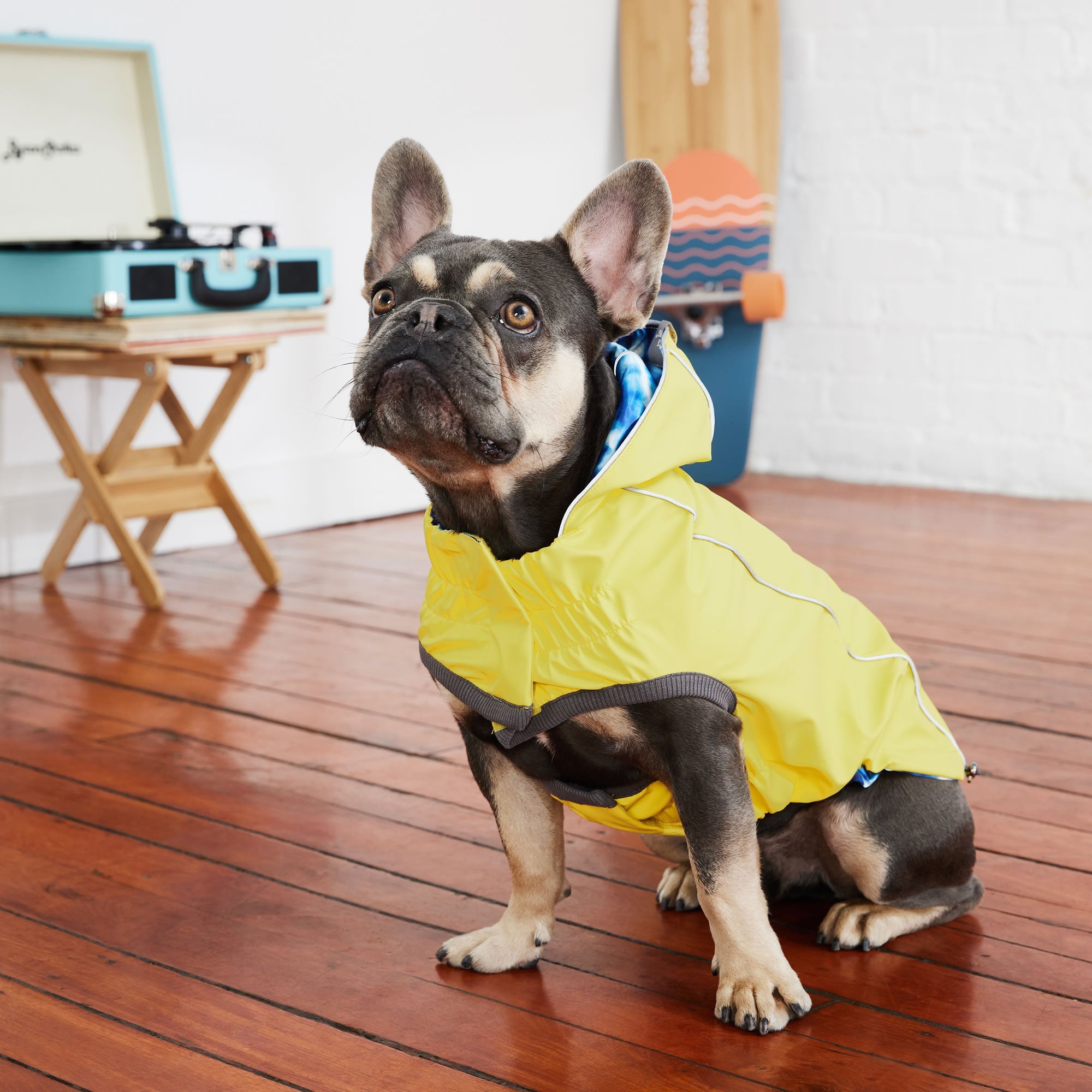 Reversible Elasto-Fit Raincoat - Yellow/Blue premium pet product
