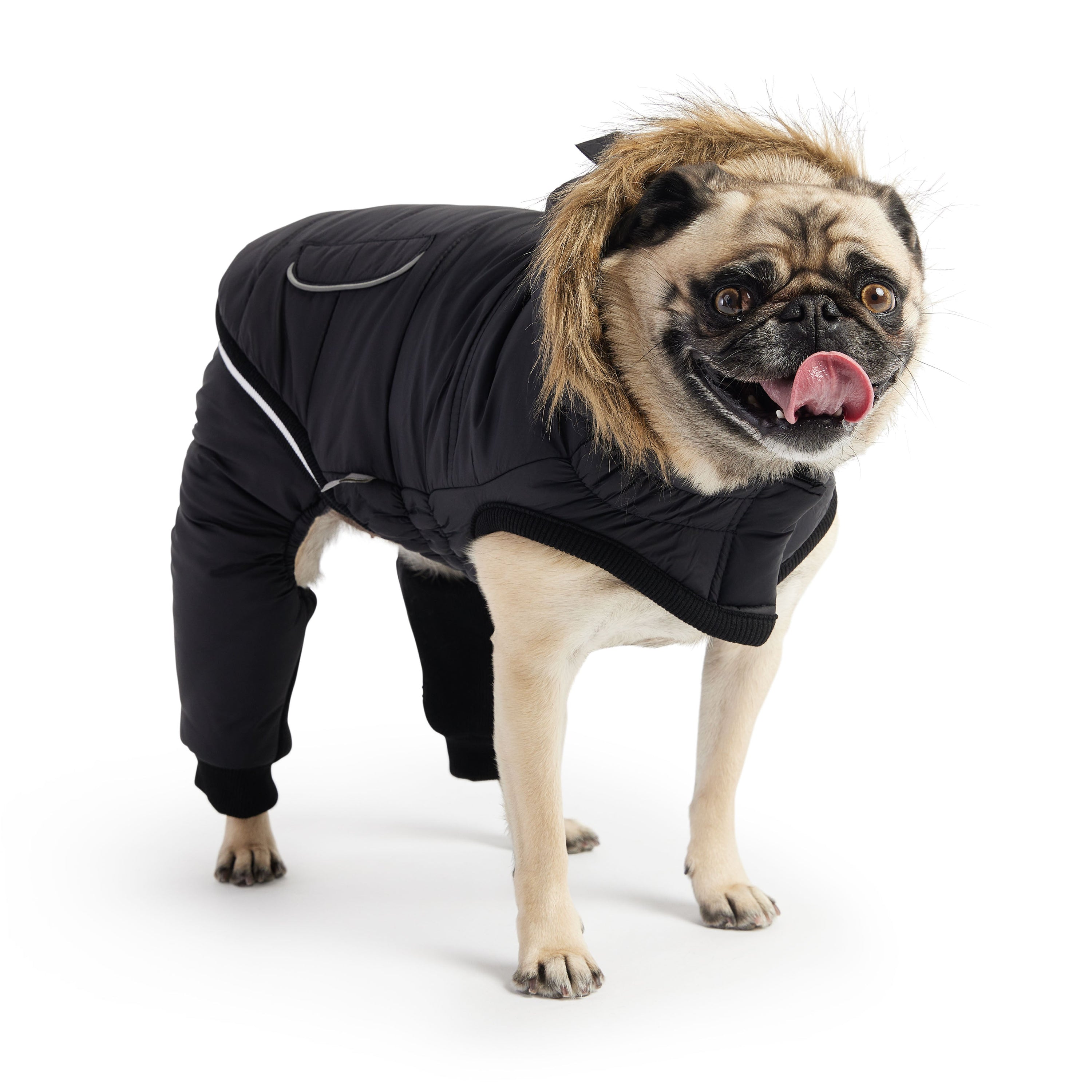Creekside Snowsuit - Black premium pet product