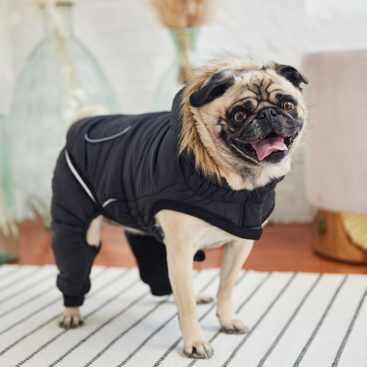 Creekside Snowsuit - Black premium pet product