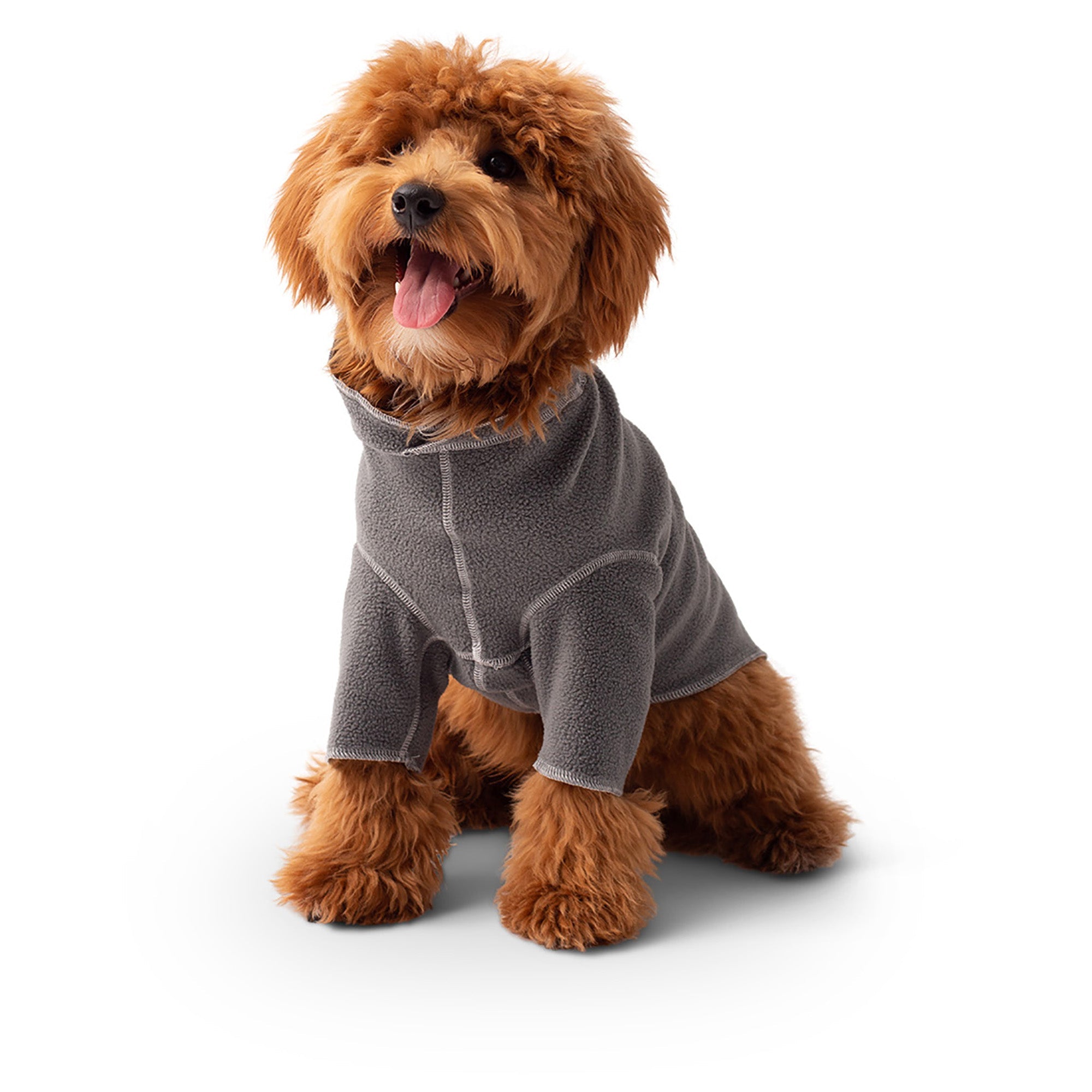 Gondola Base Layer - Charcoal premium pet product
