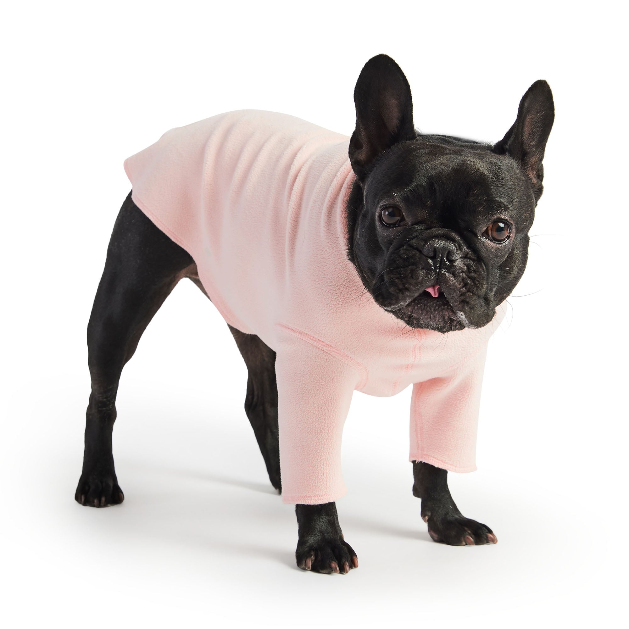 Gondola Base Layer - Pink premium pet product