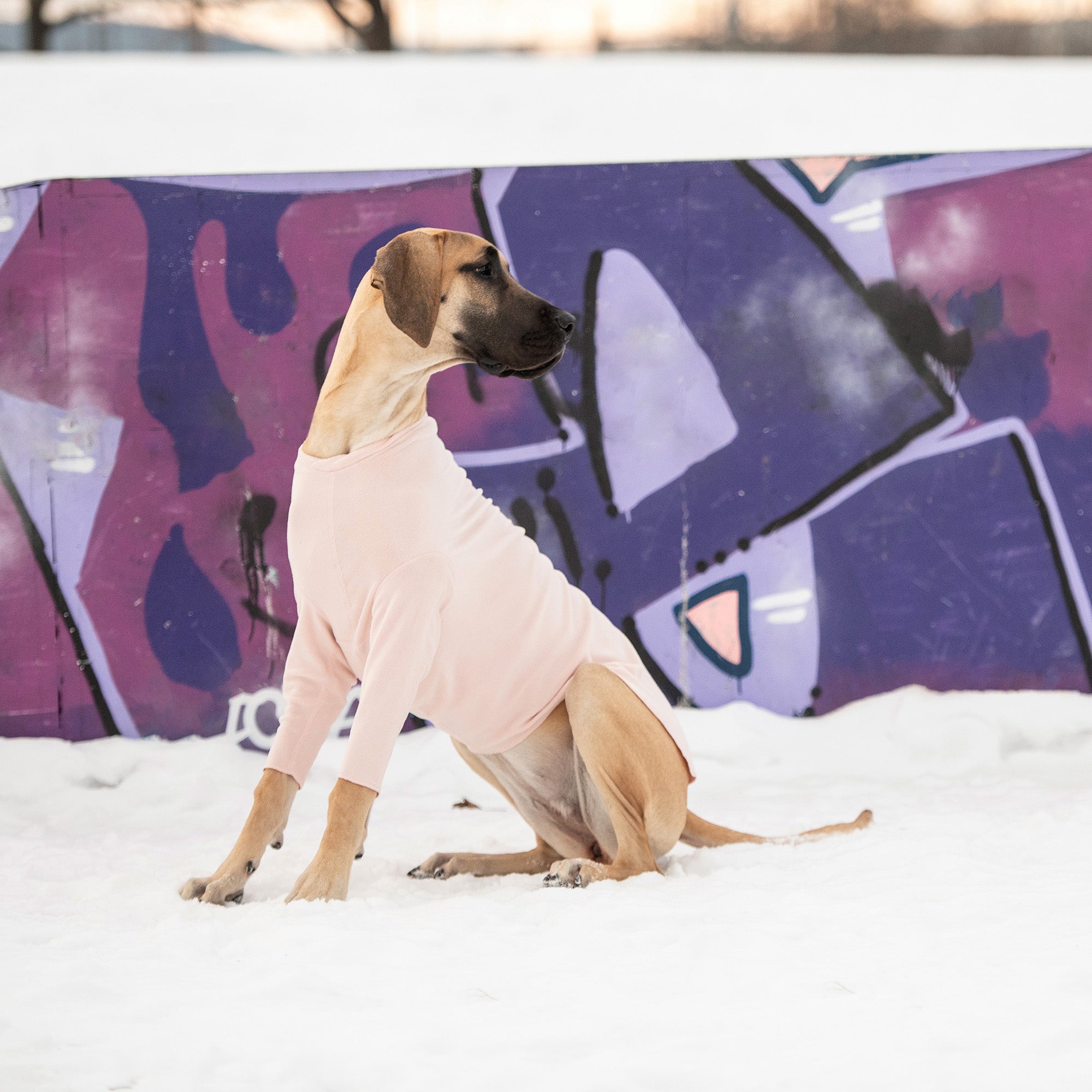Gondola Base Layer - Pink premium pet product