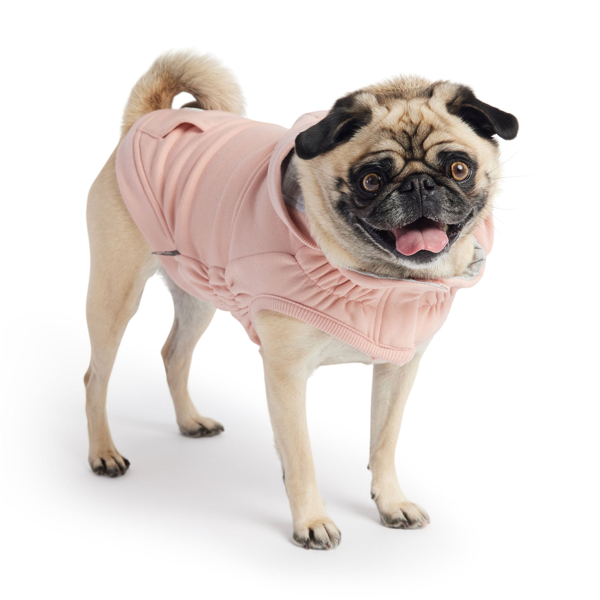 Urban Hoodie - Pink premium pet product