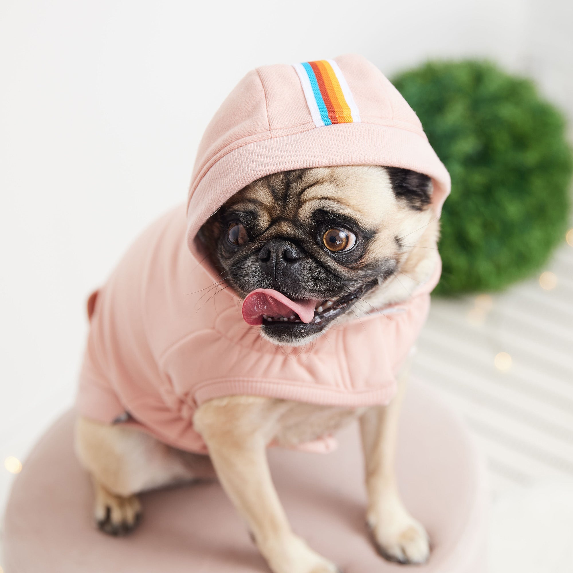 Urban Hoodie - Pink premium pet product