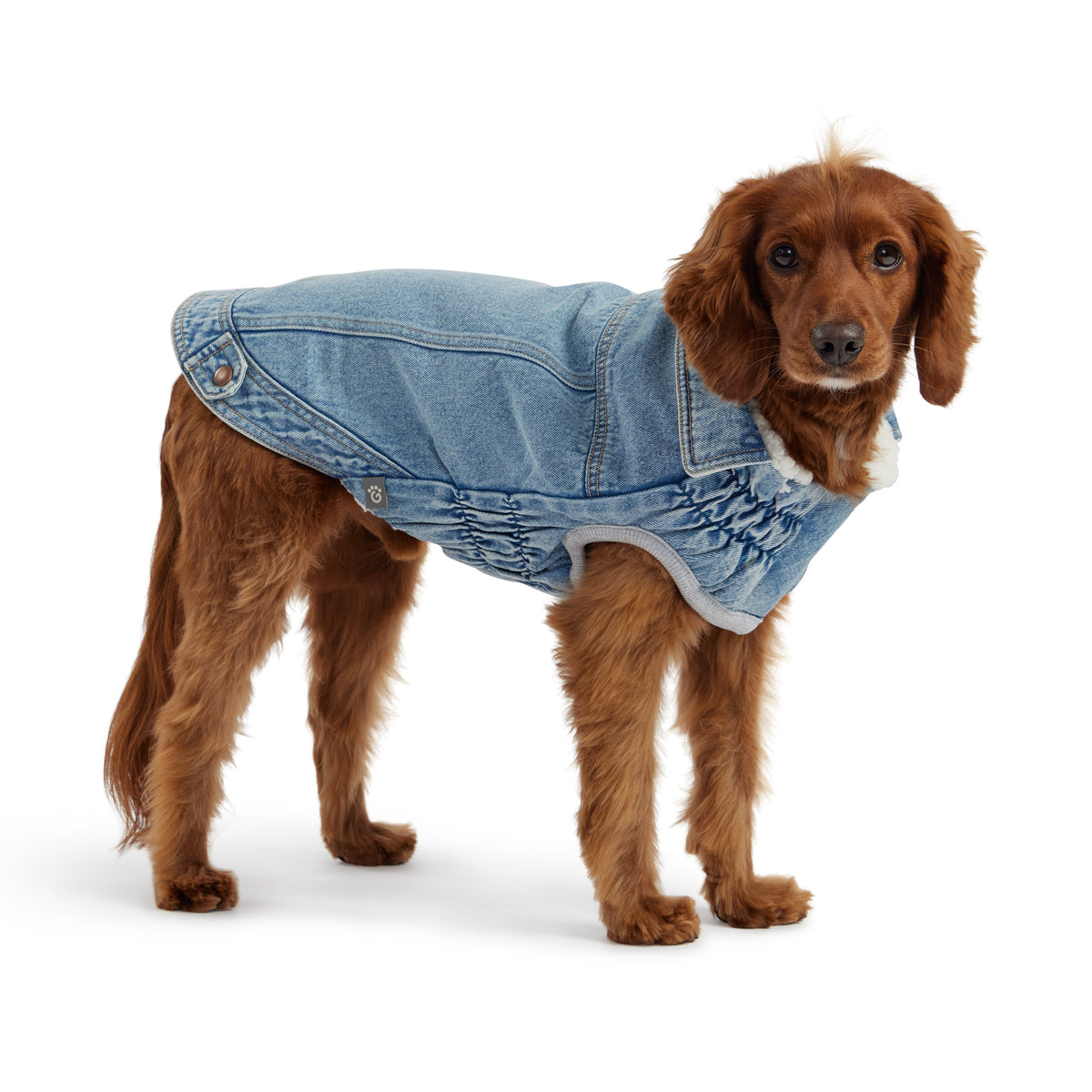 Denim Jacket - Light Wash premium pet product