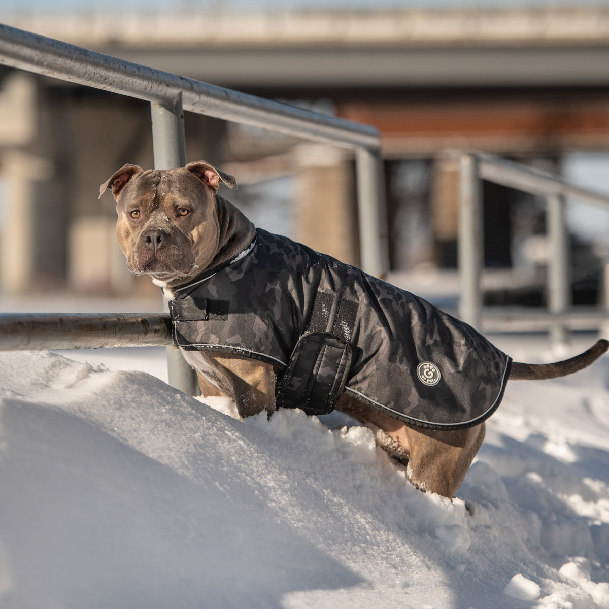 Blanket Jacket - Camo premium pet product