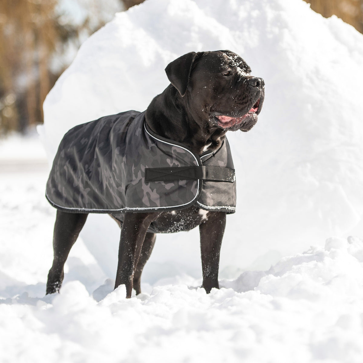 Blanket Jacket - Camo premium pet product