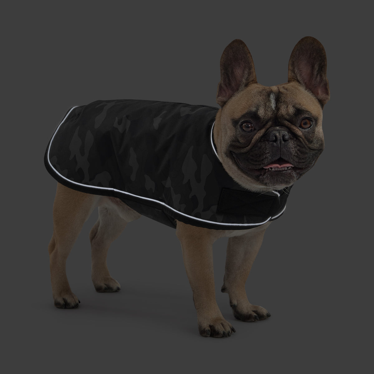 Blanket Jacket - Camo premium pet product