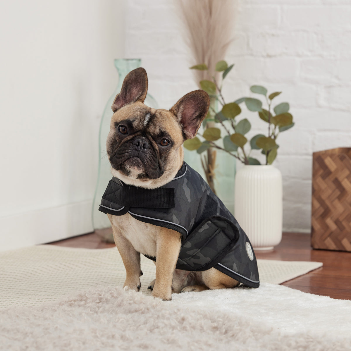 Blanket Jacket - Camo premium pet product