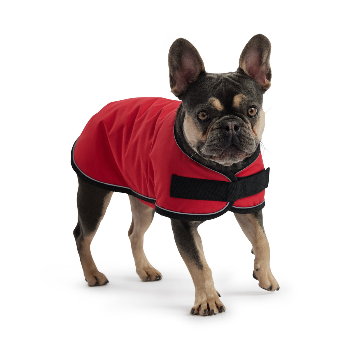 Blanket Jacket - Red premium pet product