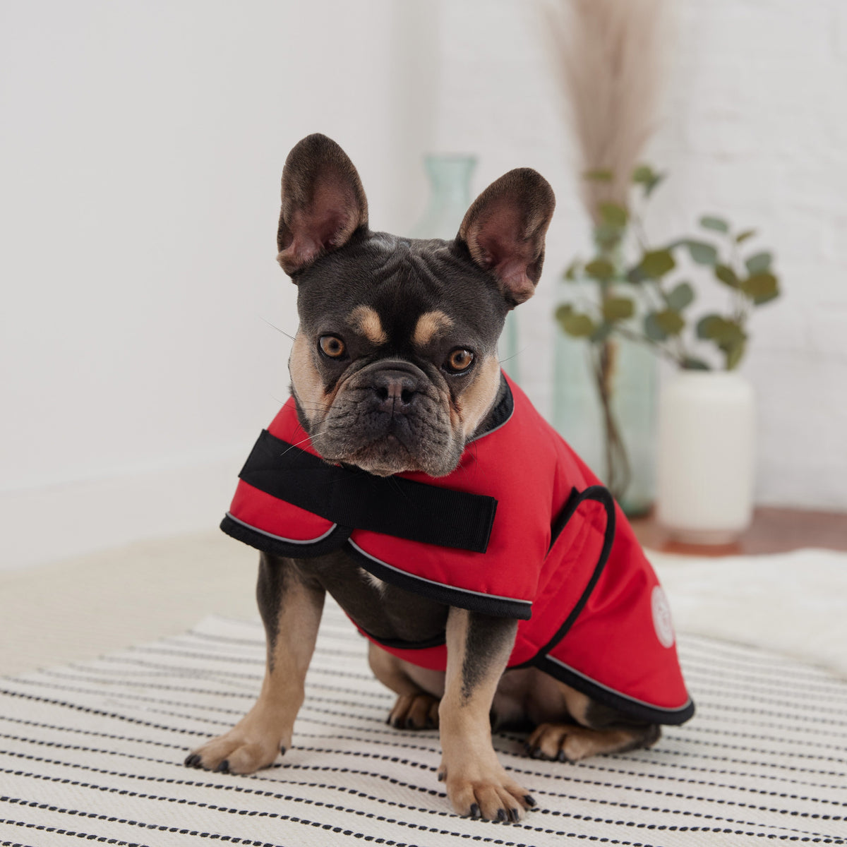 Blanket Jacket - Red premium pet product
