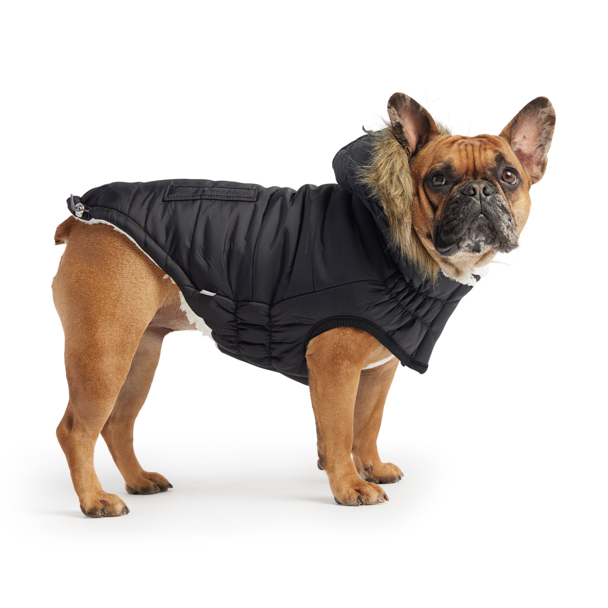 Urban Parka - Black premium pet product